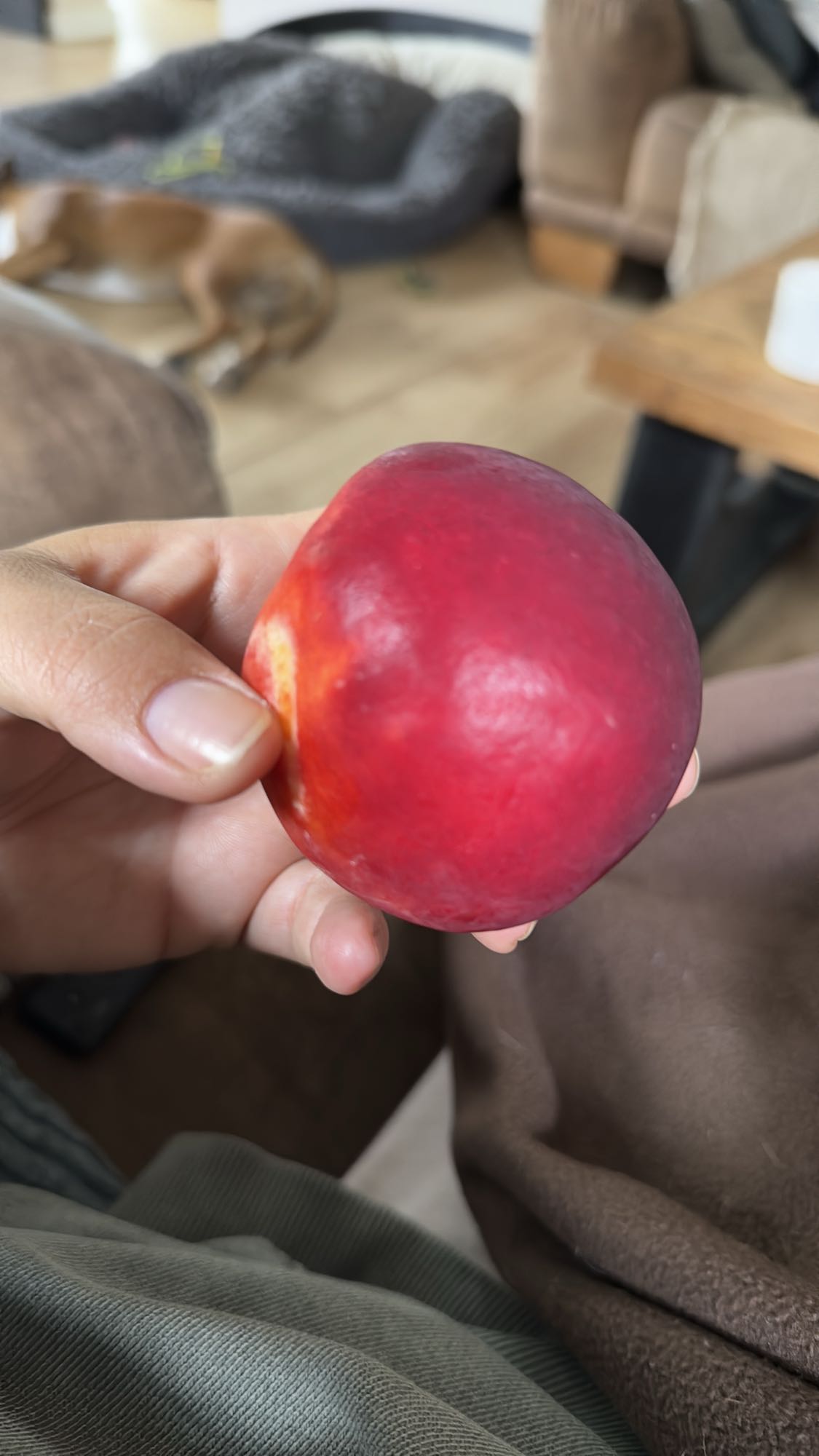 Nectarine snack