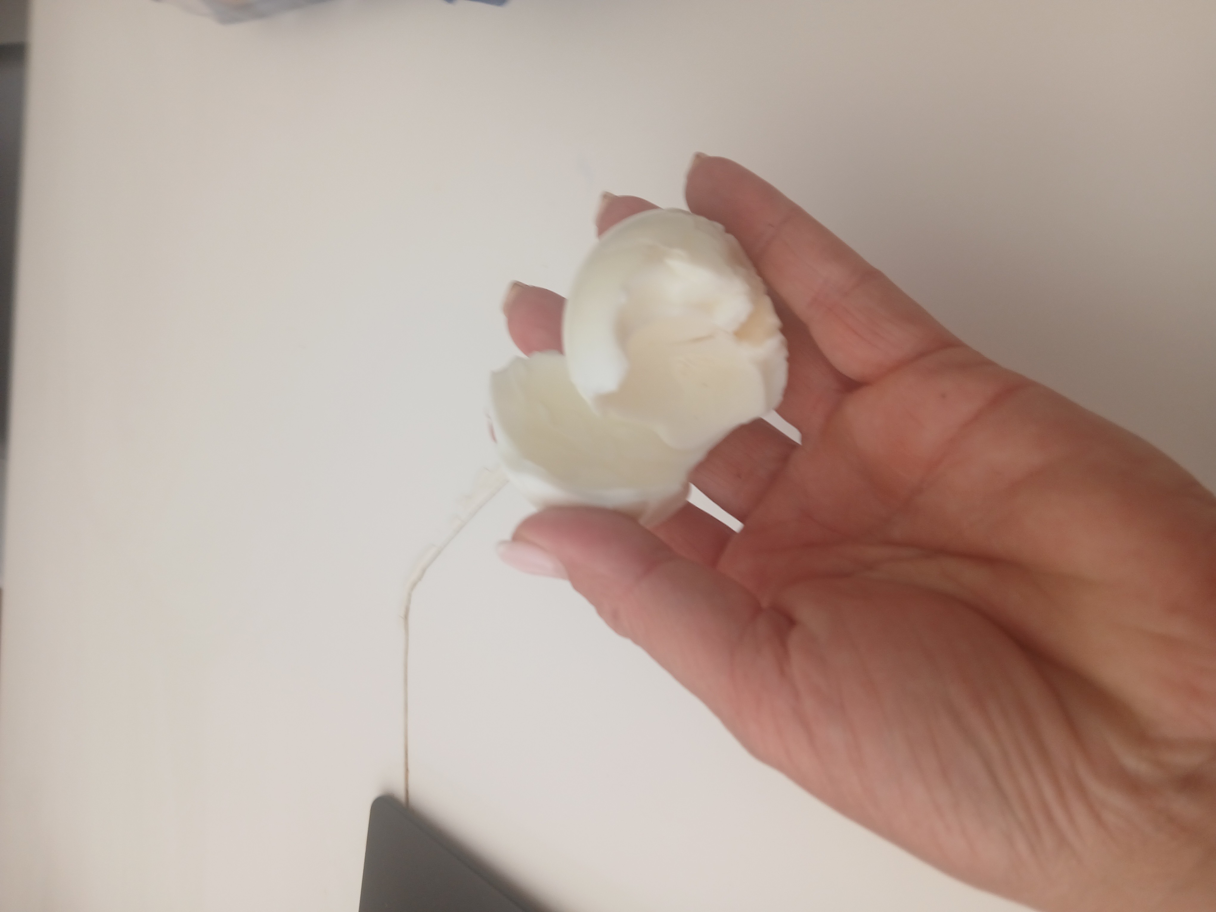 Blanc d'œuf bouilli