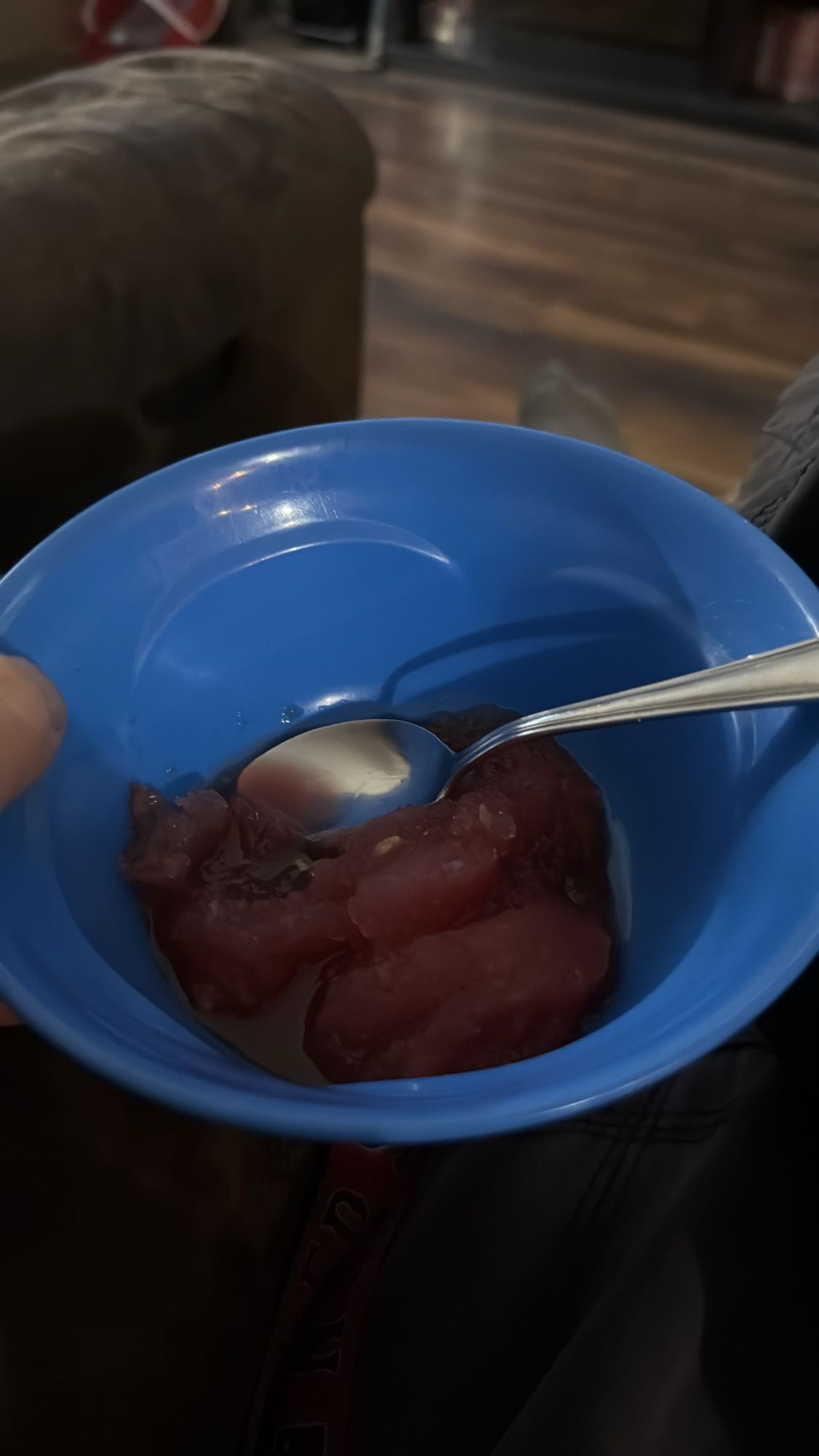 Sorbet aux melon d’eau