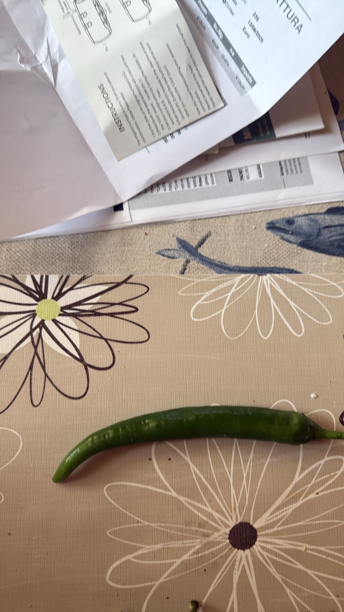 Ardei iute verde simplu