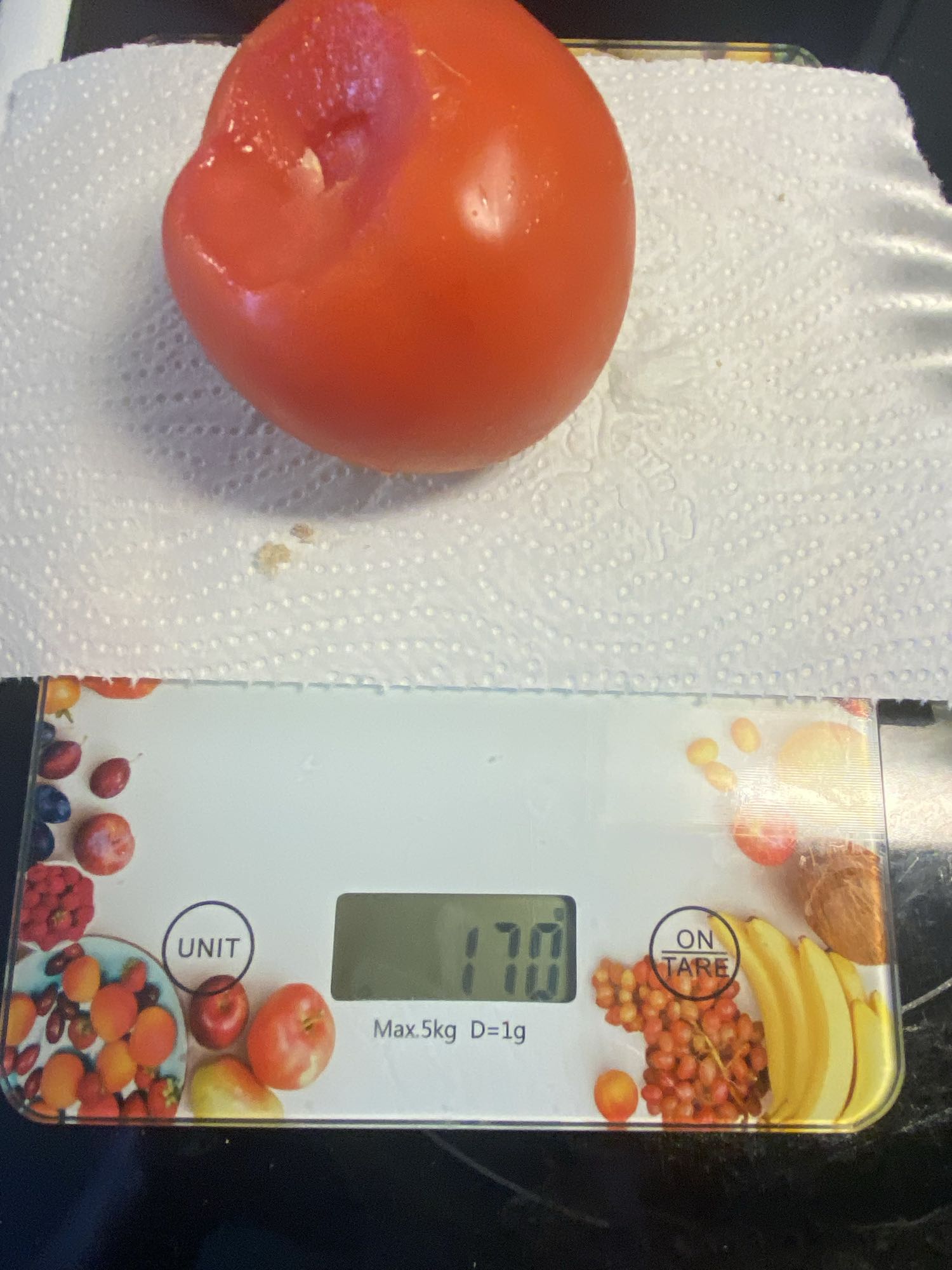 طماطم طازجة