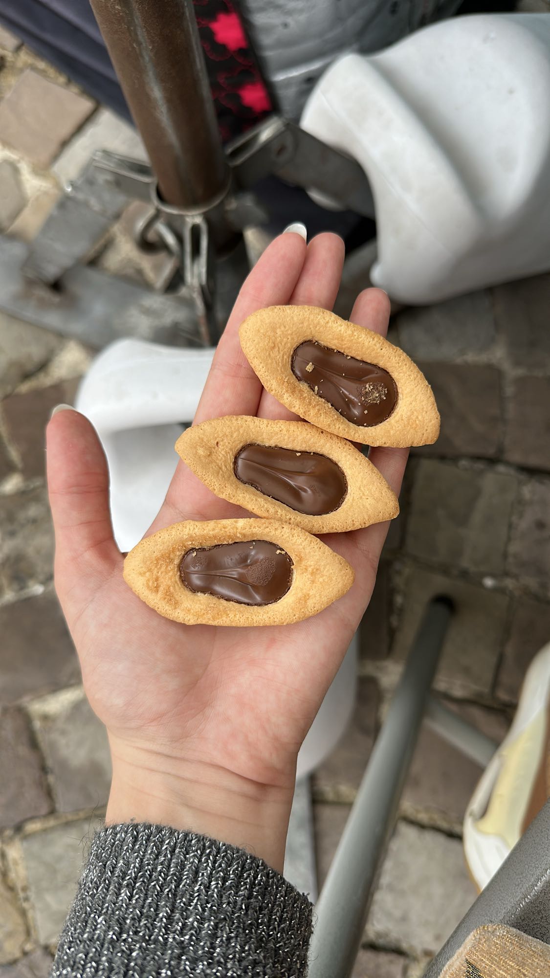 Biscuits au chocolat