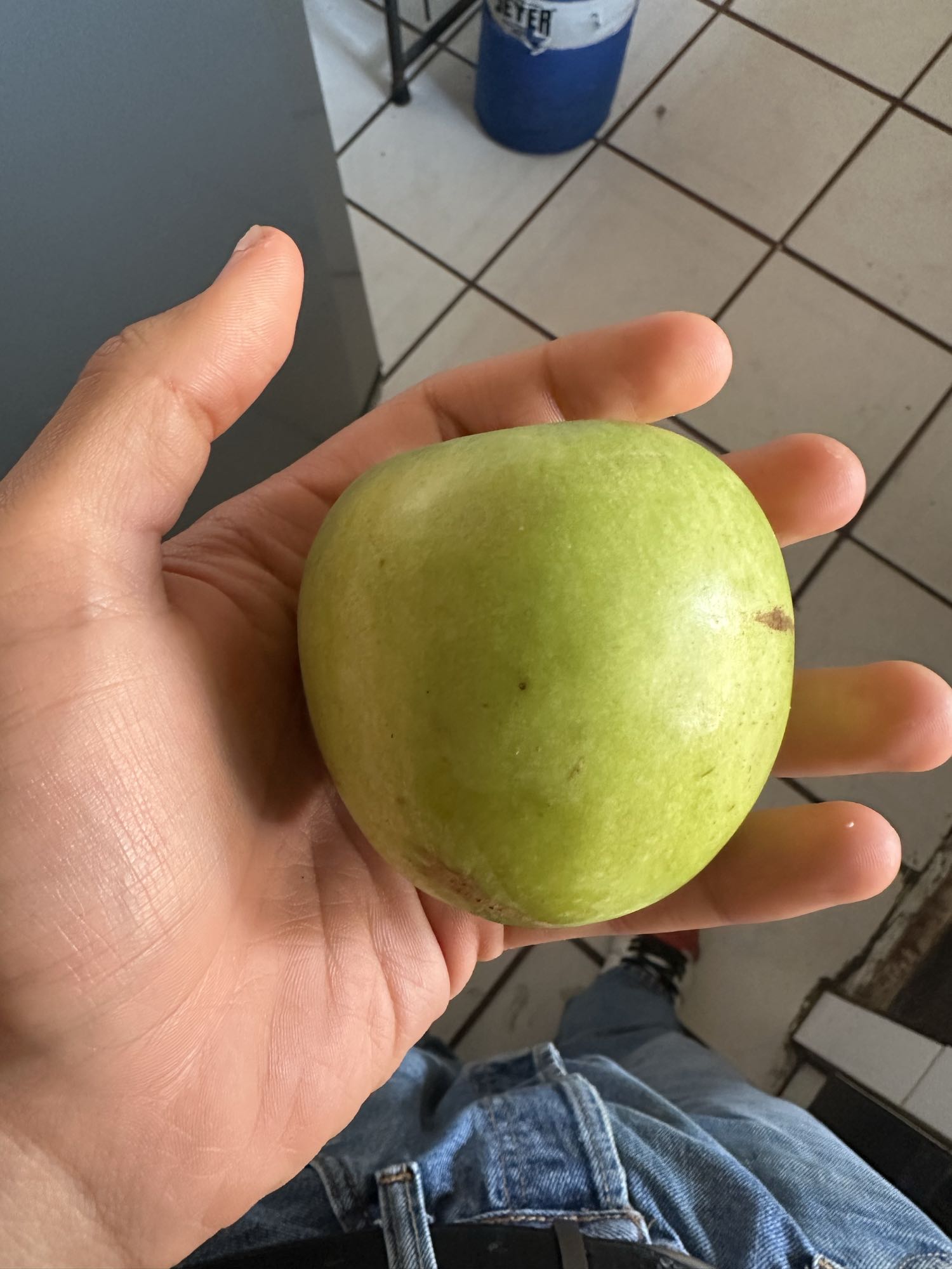 Manzana verde entera