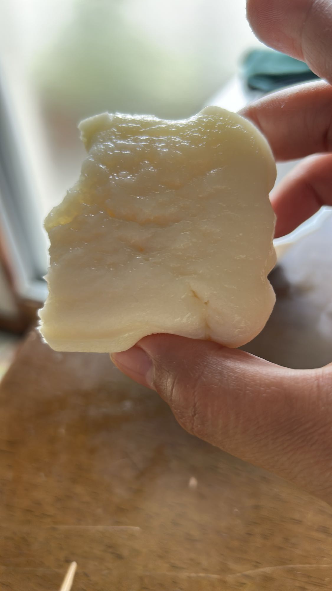 Mozzarella cheese slice