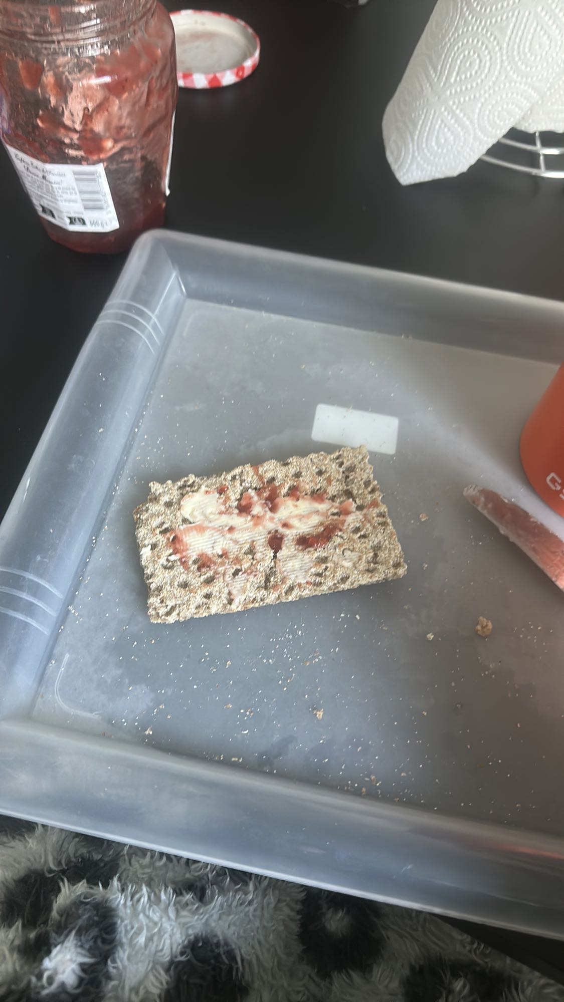 Tartine croustillante