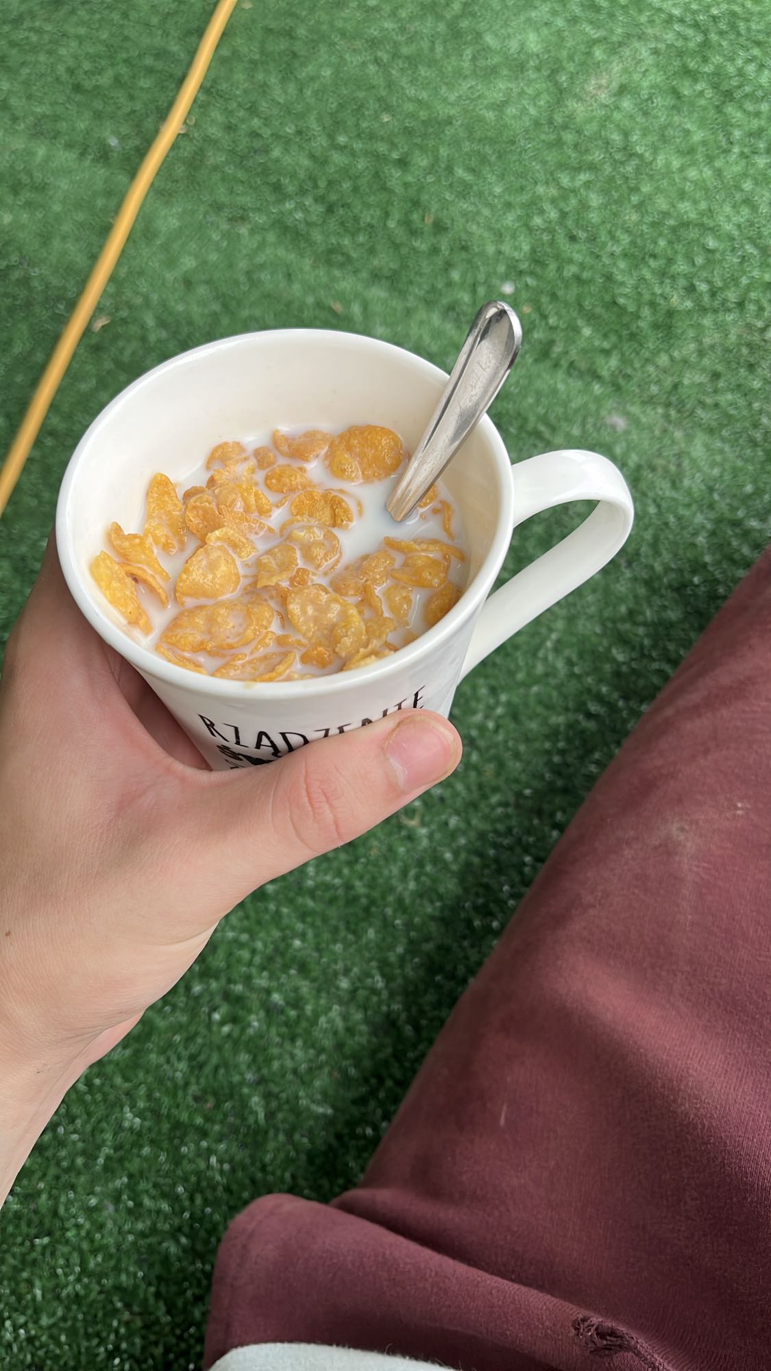 Płatki kukurydziane z mlekiem