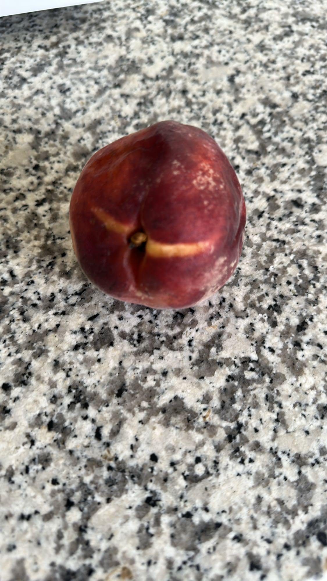 Fresh Nectarine