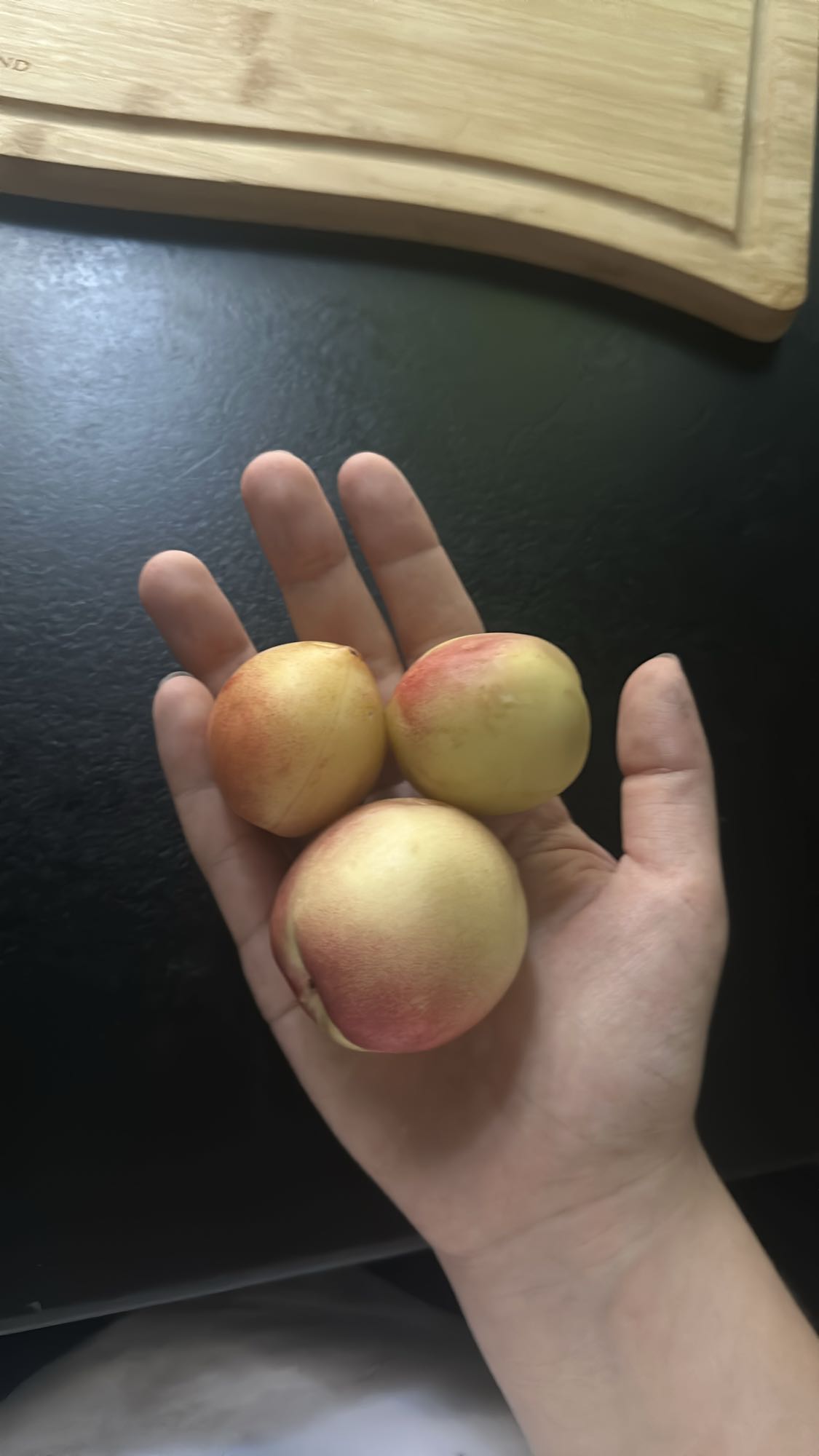 Fresh Apricots