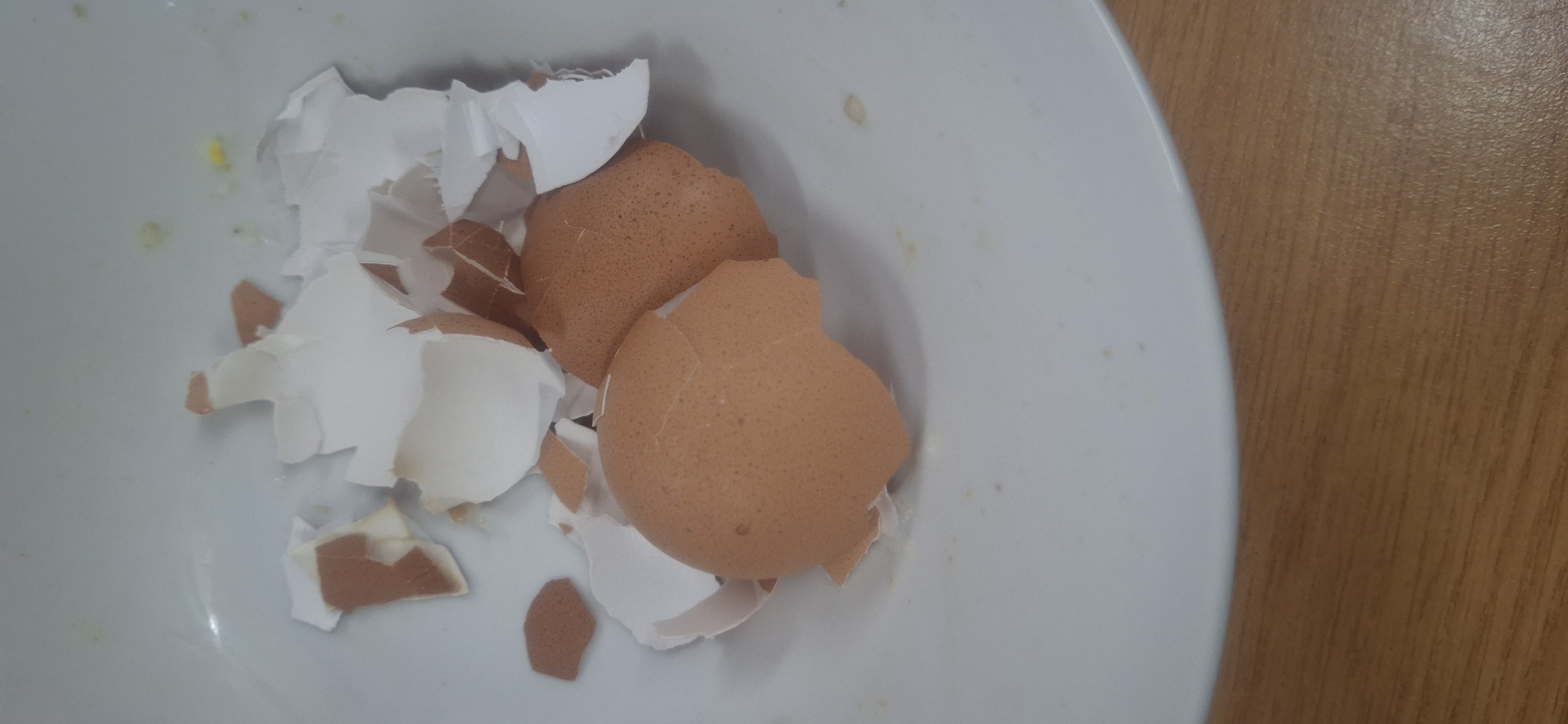 Egg Shells in Bowl