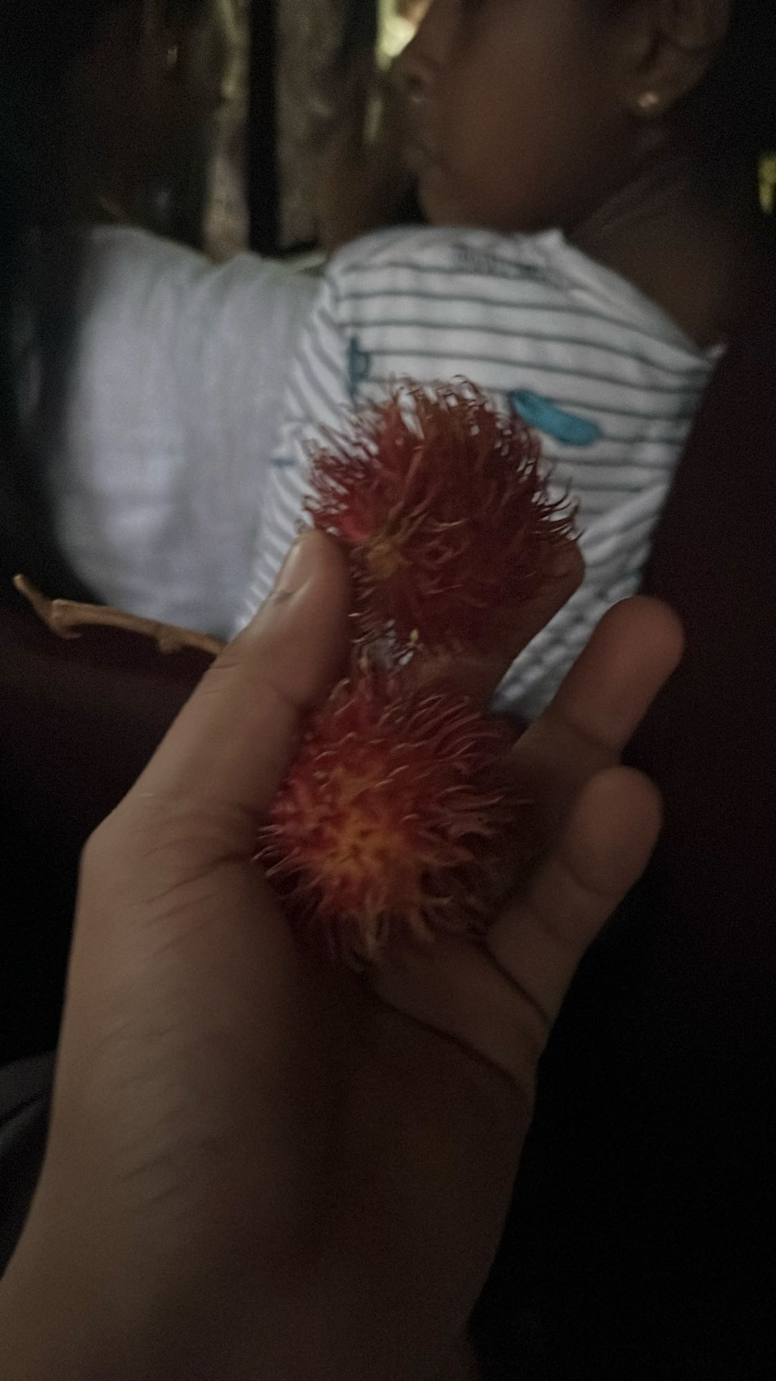 Fresh Rambutan Snack