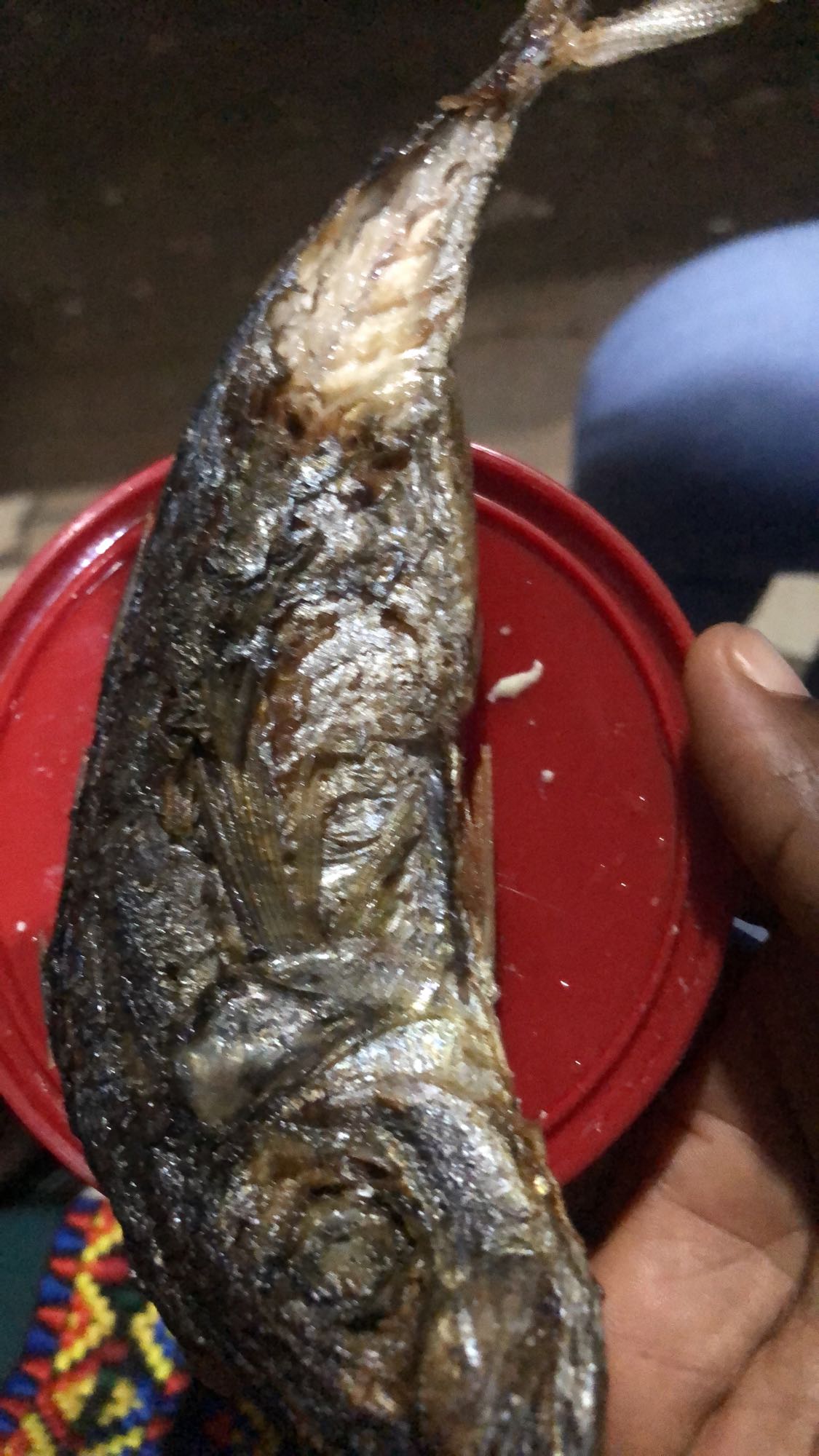 Grilled Mackerel Fish