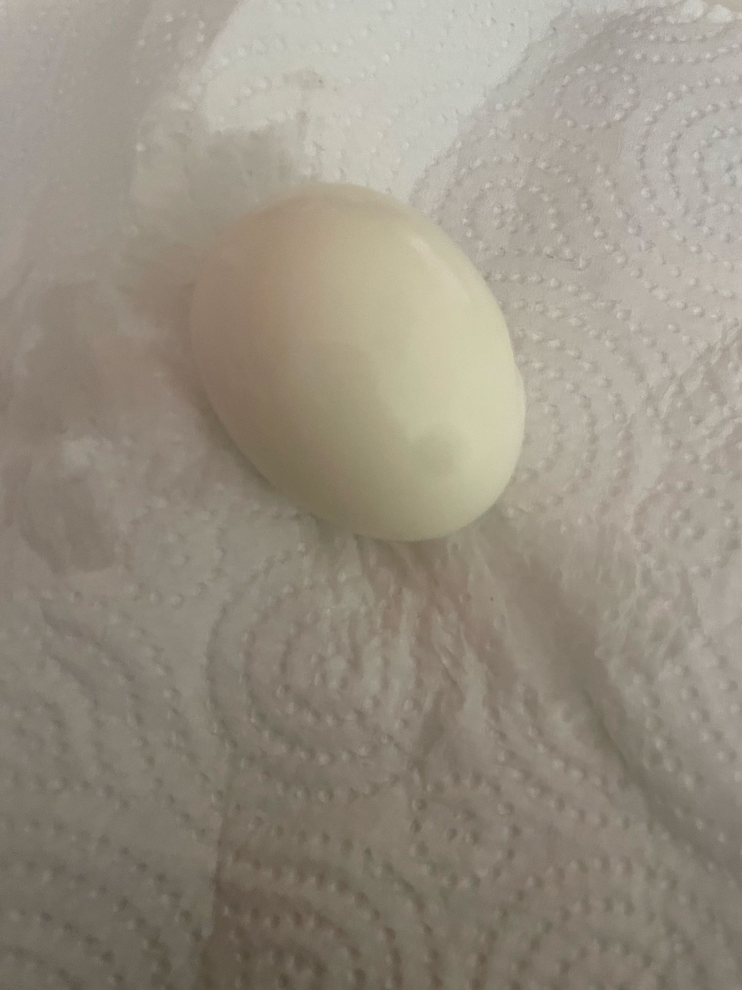 Haşlanmış Yumurta