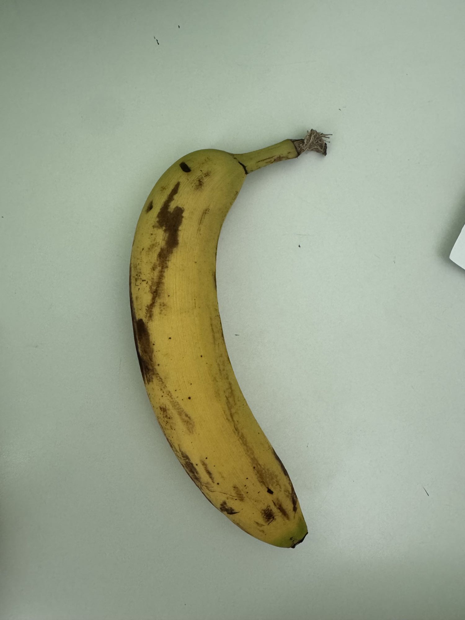 Banaan