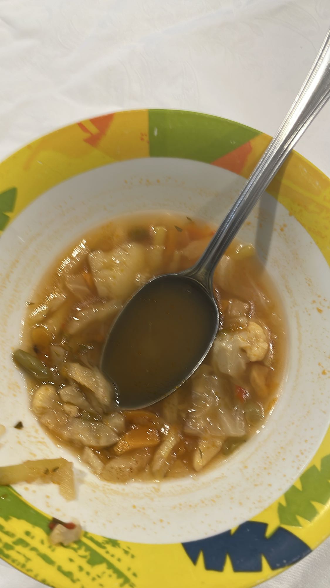 Vegetable Soup