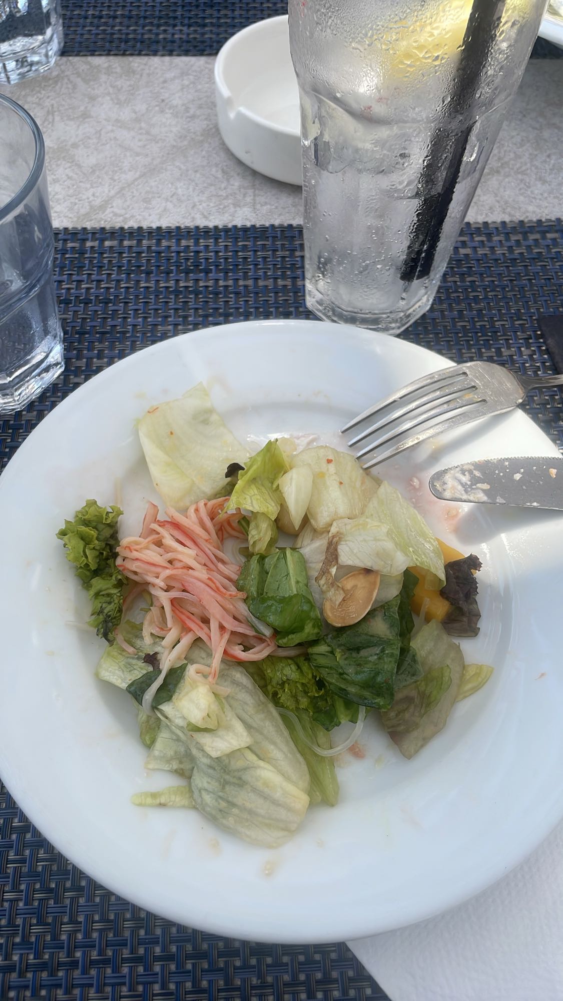 Crab Stick Garden Salad