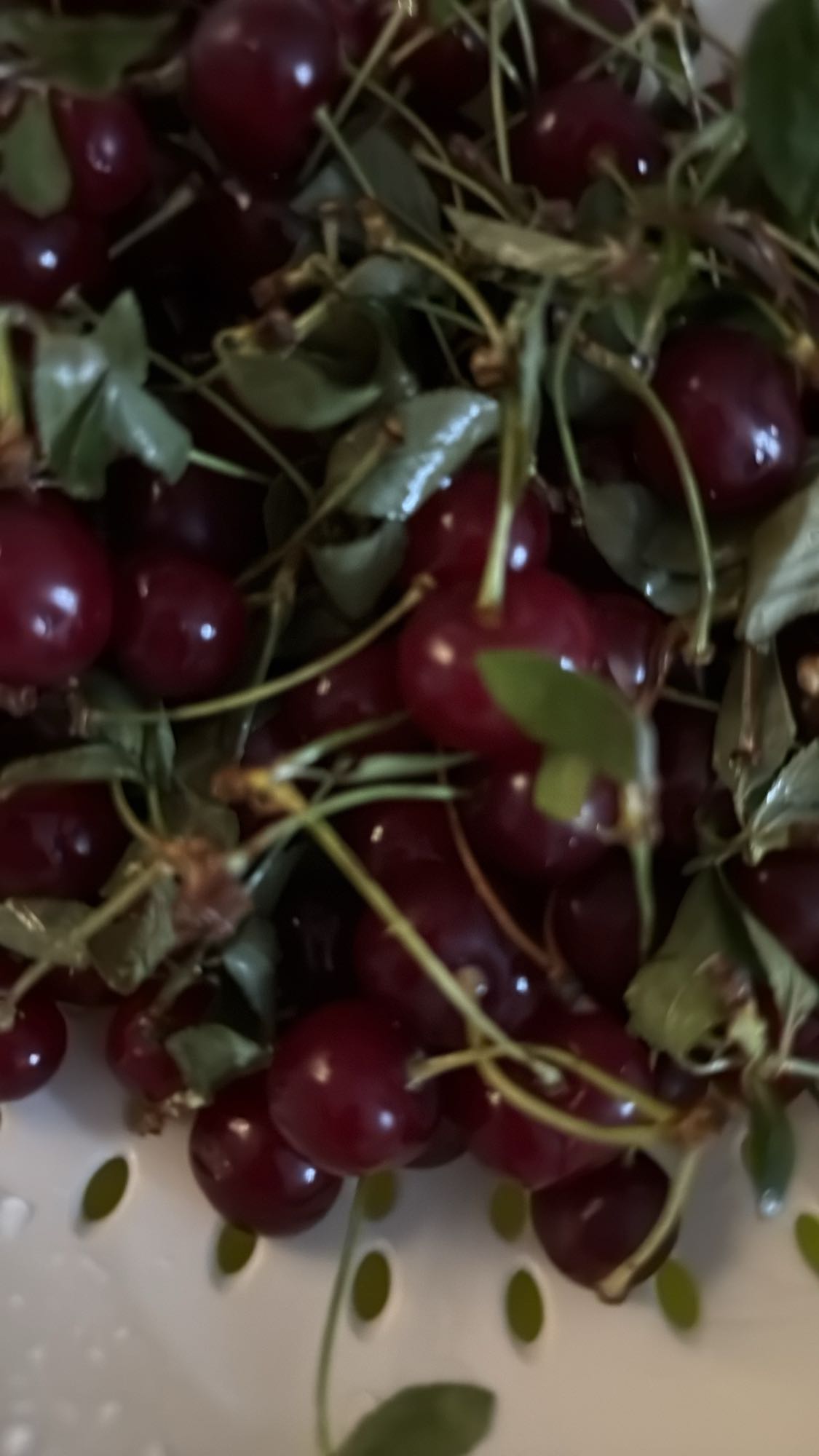 Свежая вишня