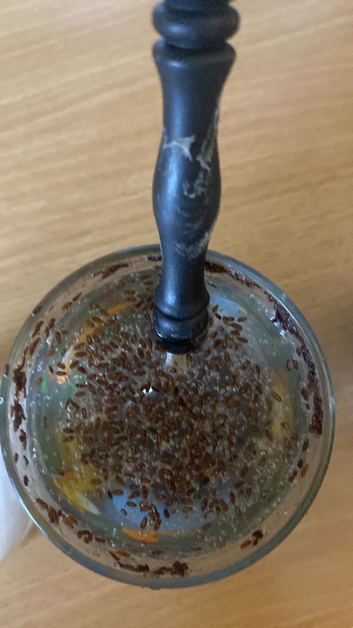 napój z siemieniem lnianym