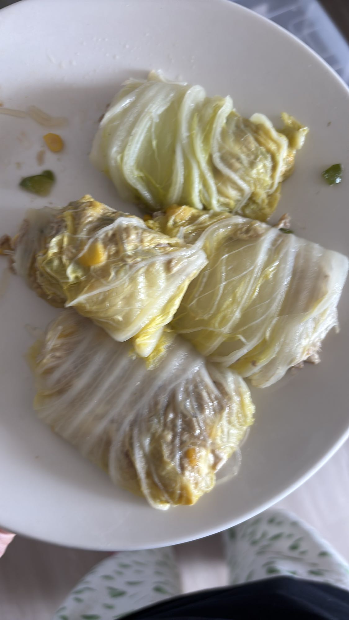 Stuffed Cabbage Wraps