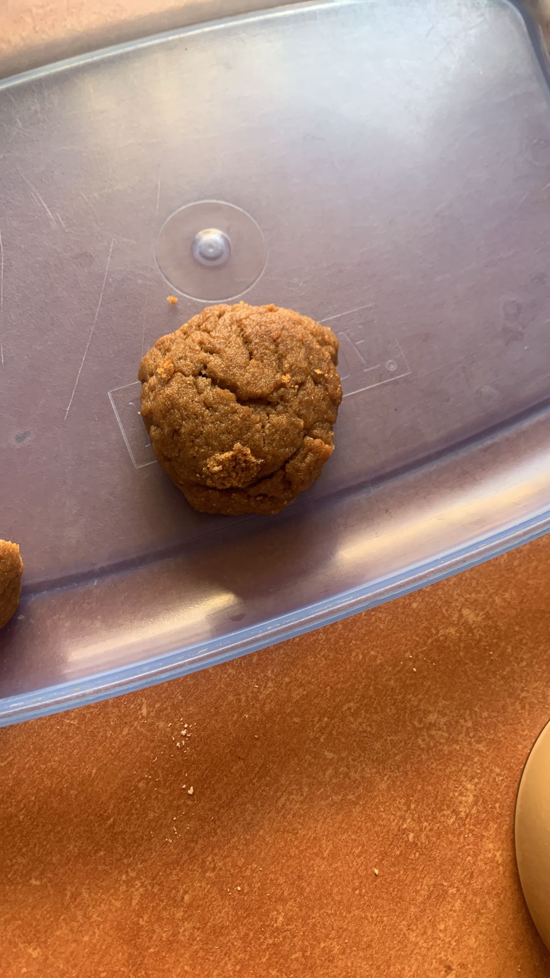 Peanut Butter Cookie