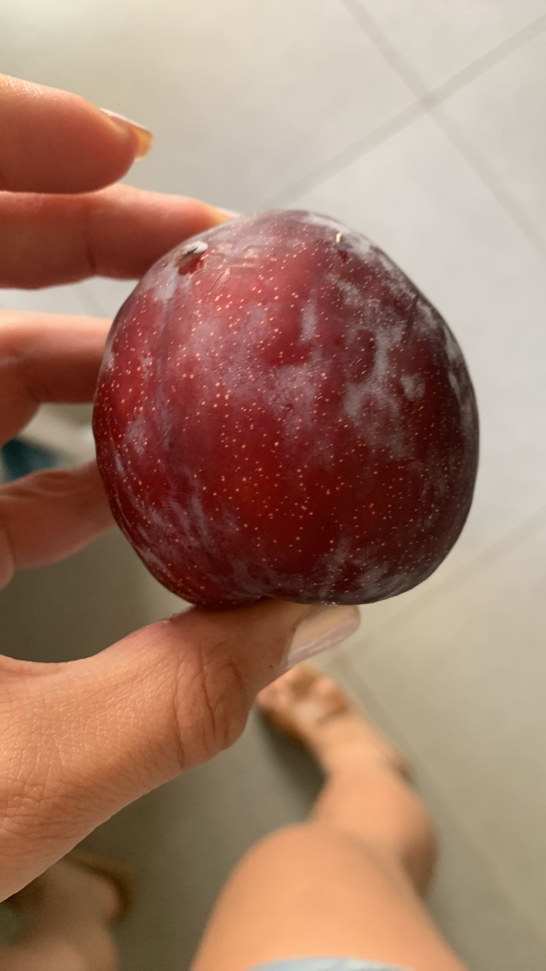 Fresh Plum Snack