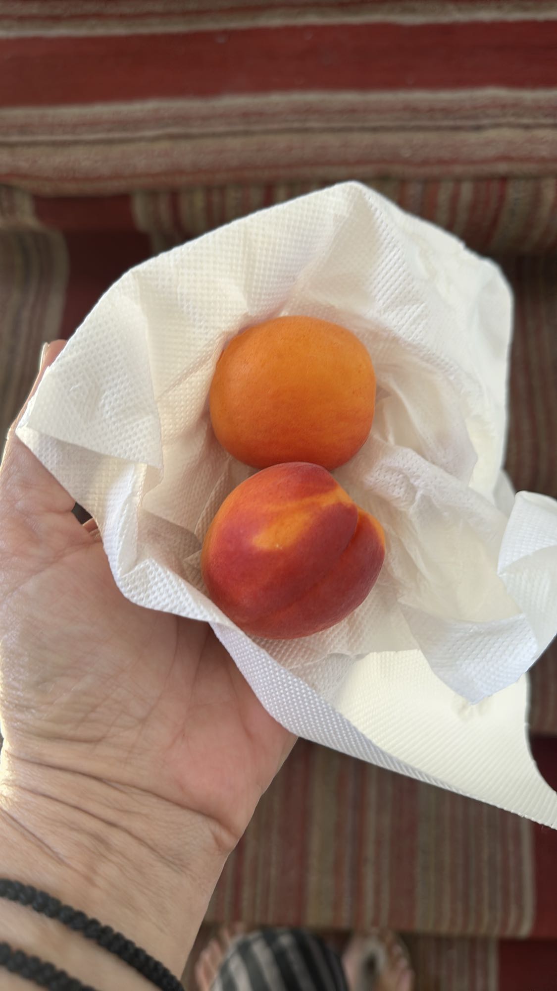 Fresh Apricots