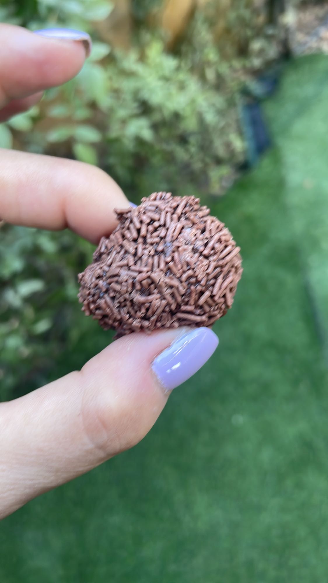 Chocolate truffle ball