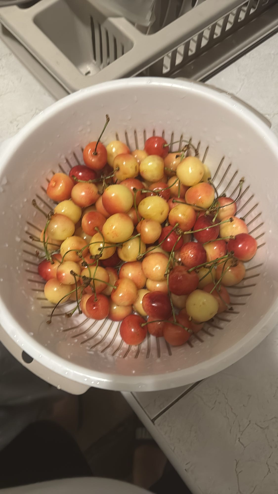 свежая черешня