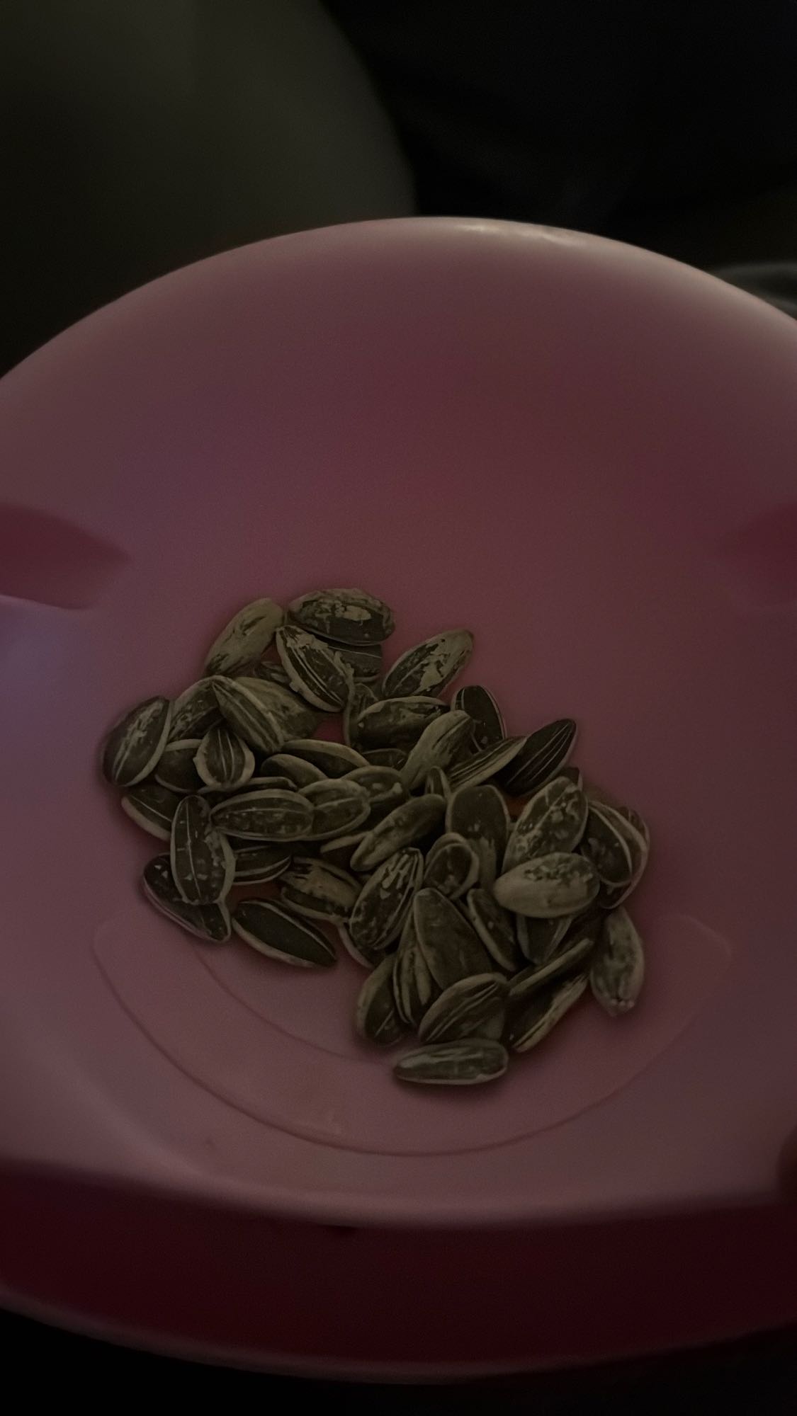 zonnebloempitten snack