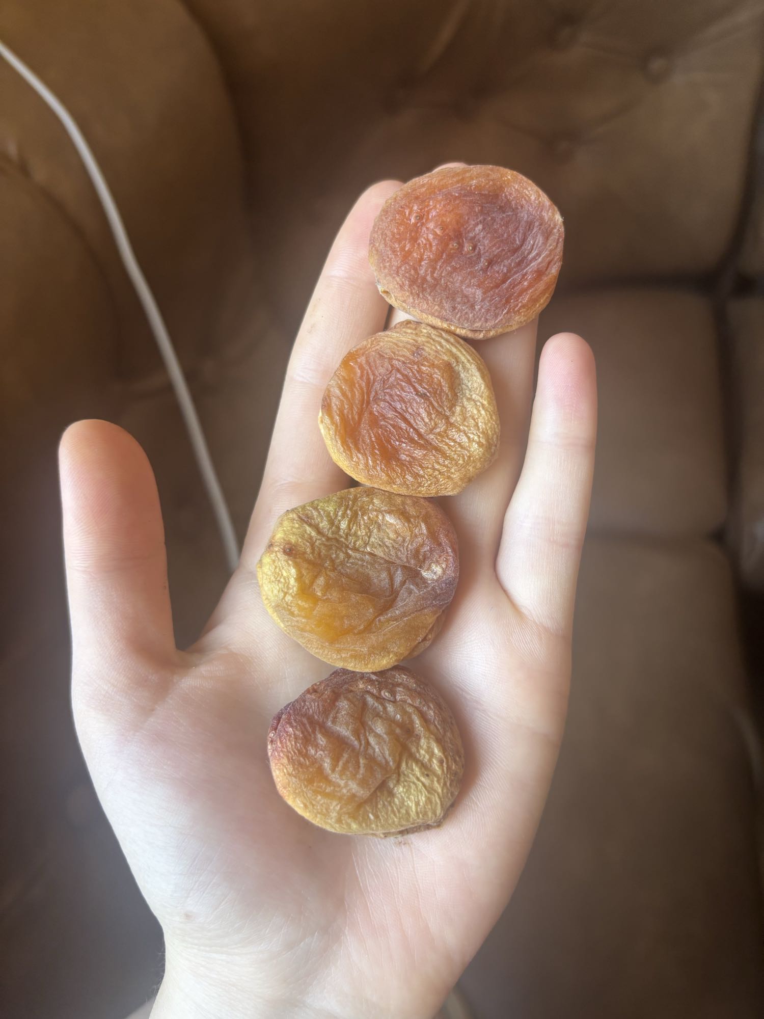 Dried Apricots Snack