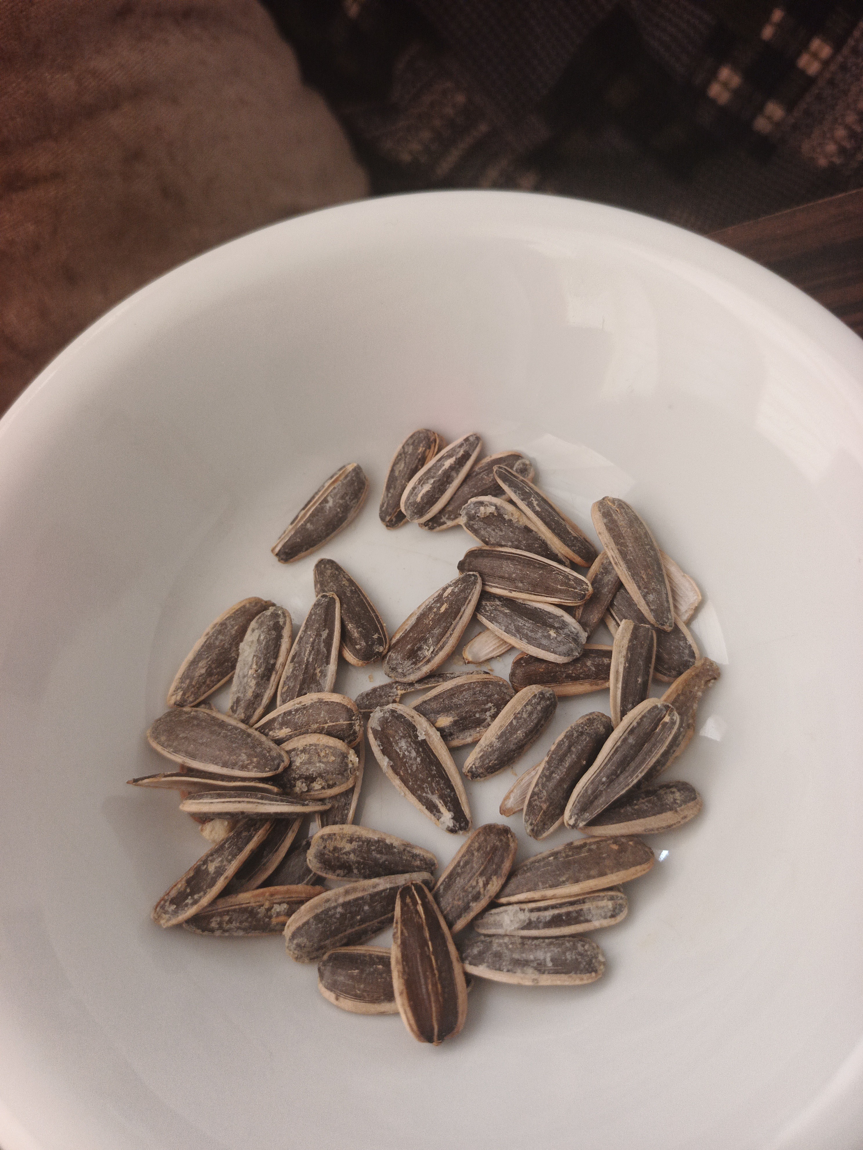 Sunflower Seeds Snack
