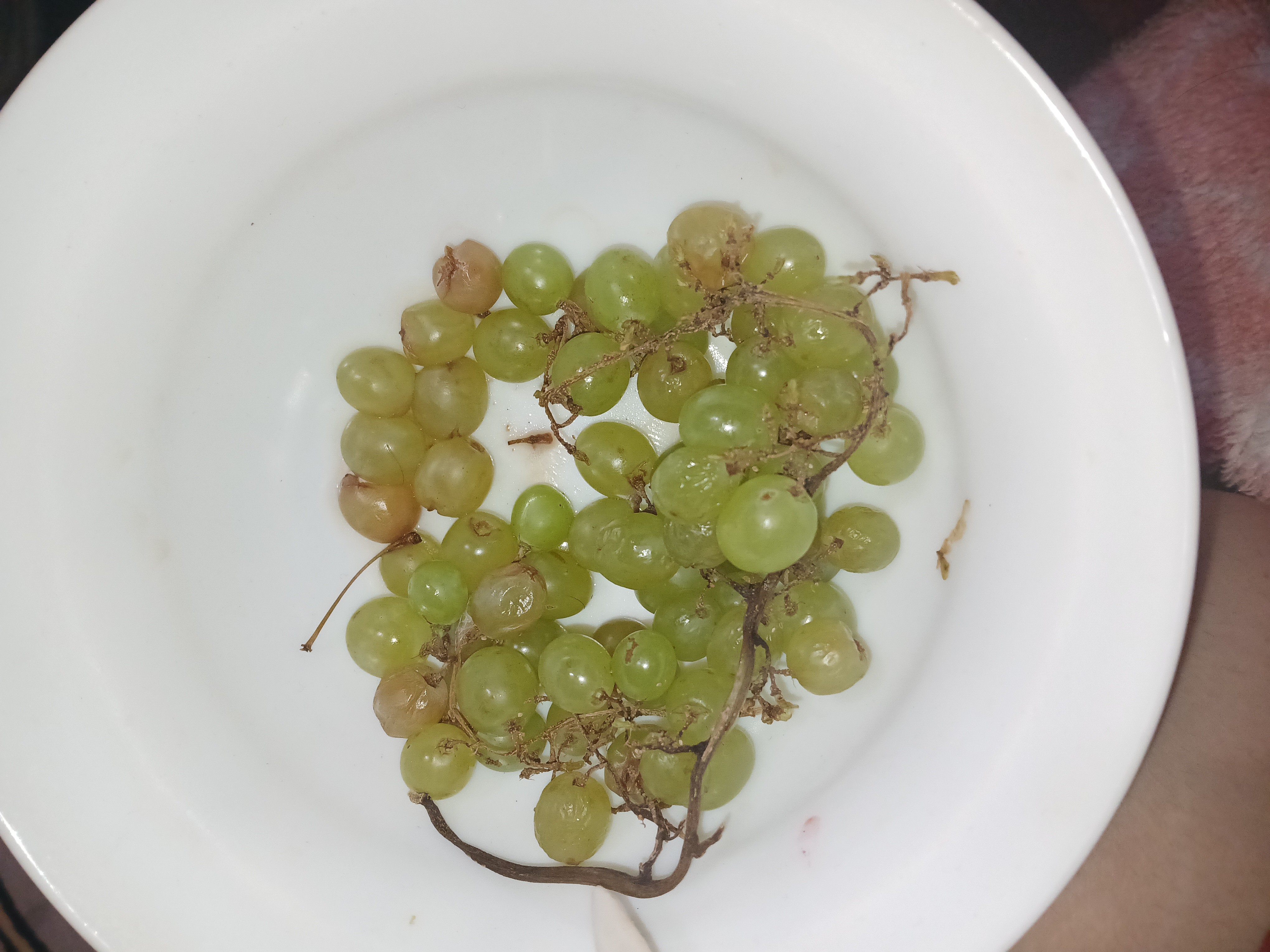 Green grapes bowl