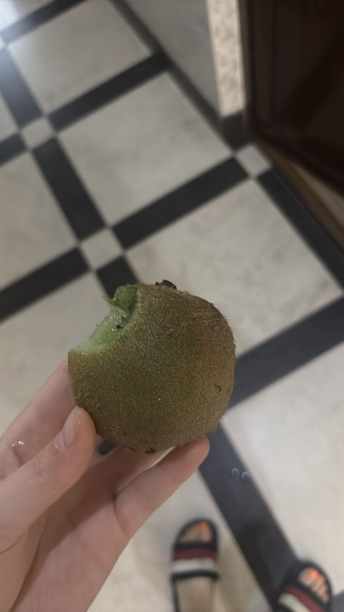 Raw Kiwi Snack