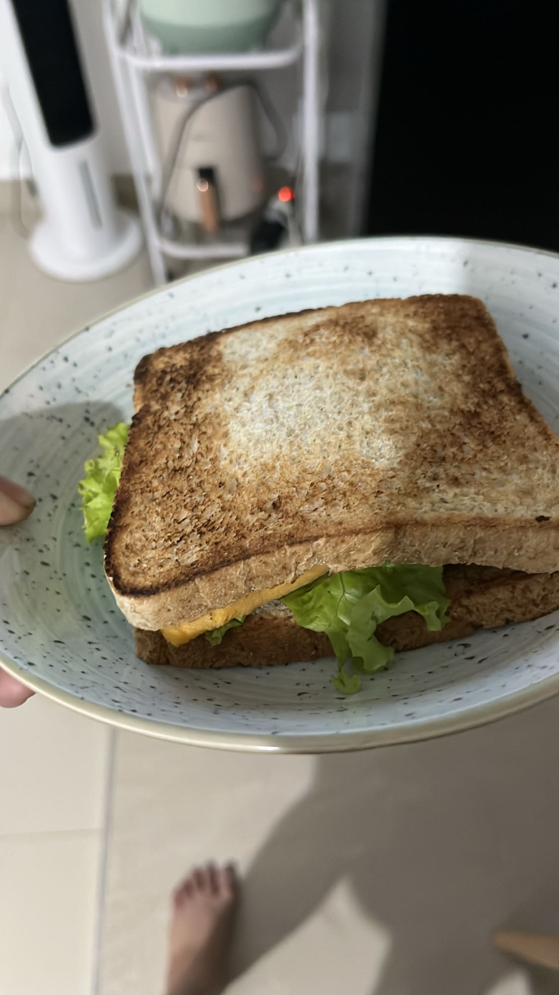 Roti panggang isi keju