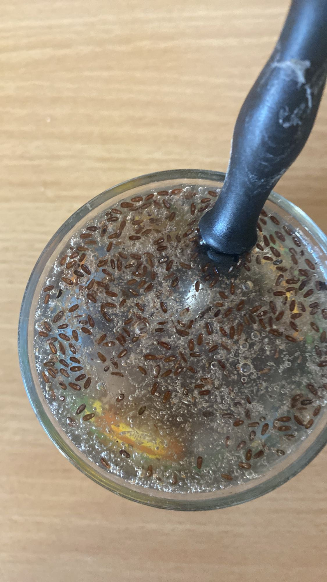 napój z nasionami chia