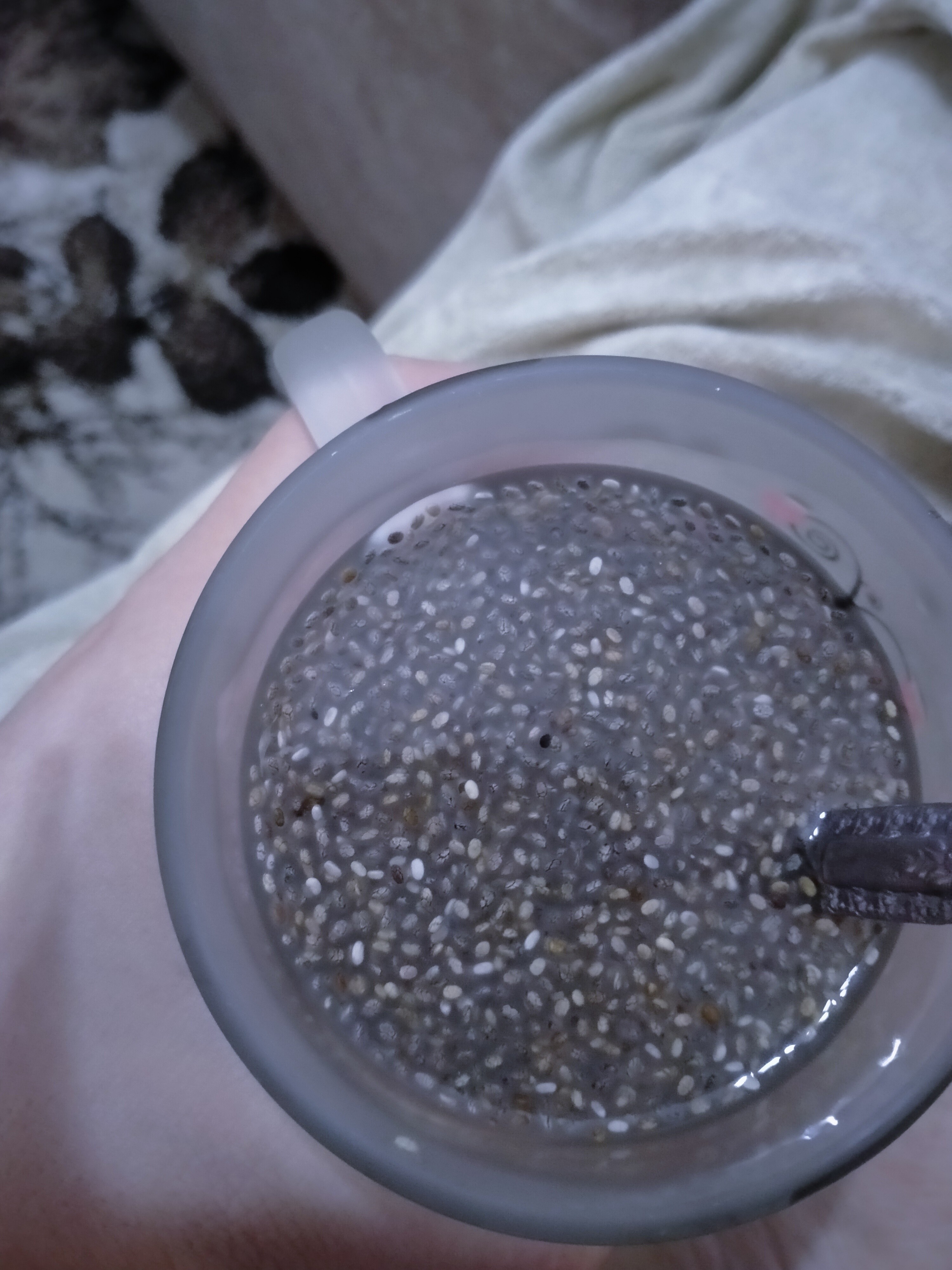 Chia Seed Pudding