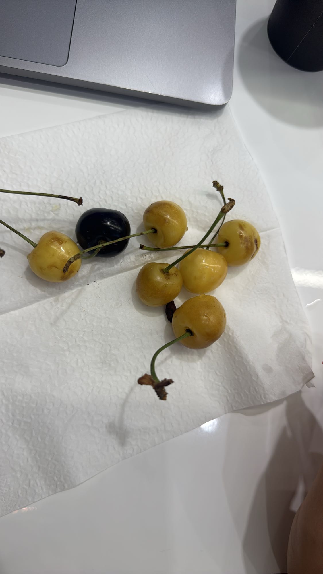 Fresh cherries snack