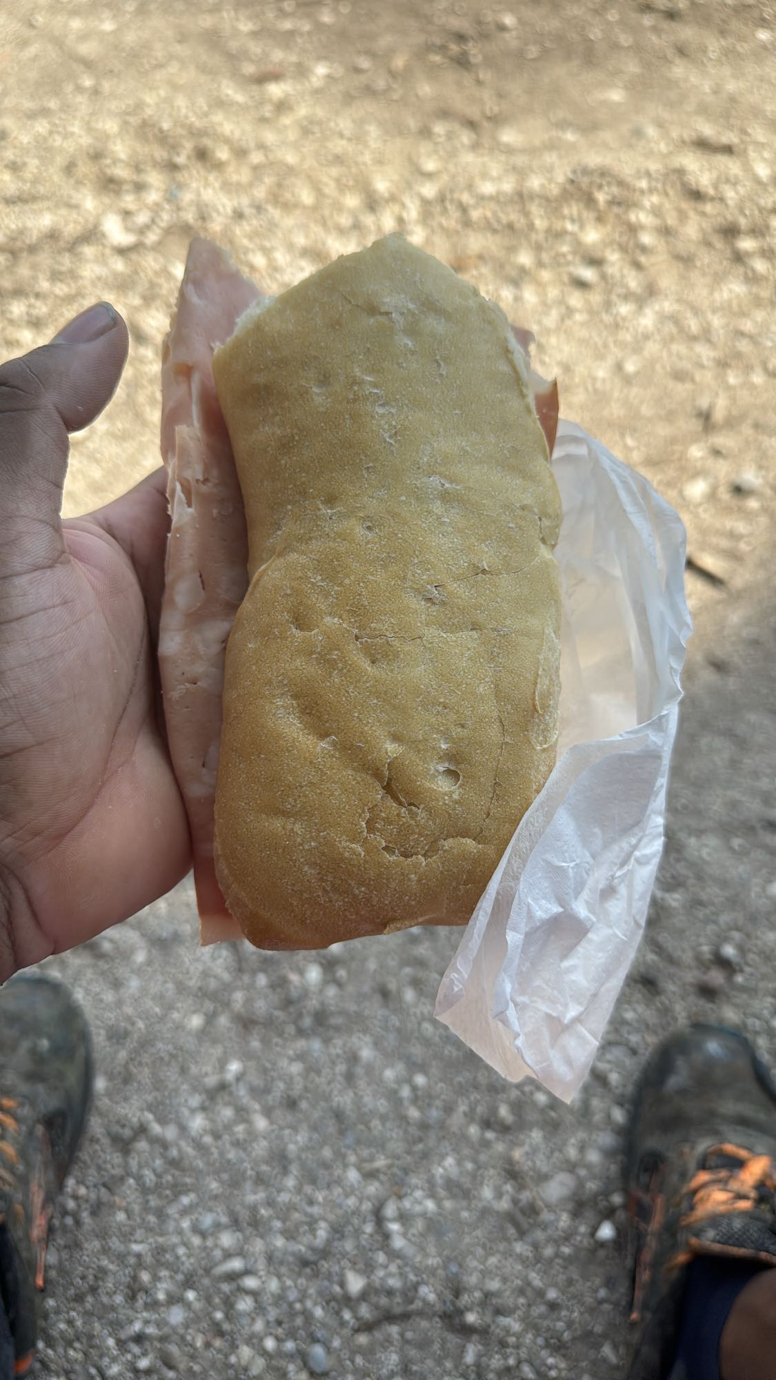 Panino con prosciutto