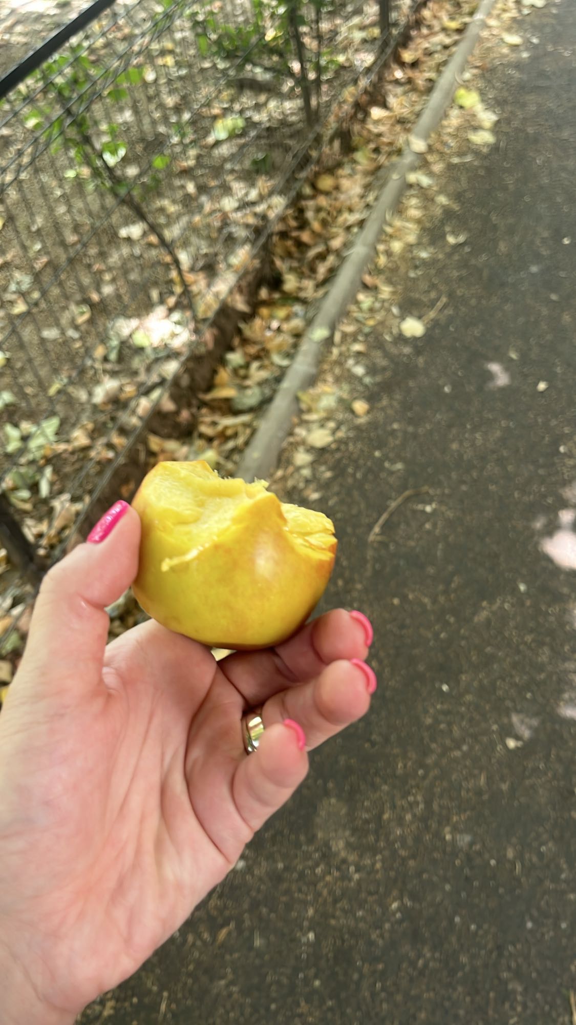 Gustare cu măr galben