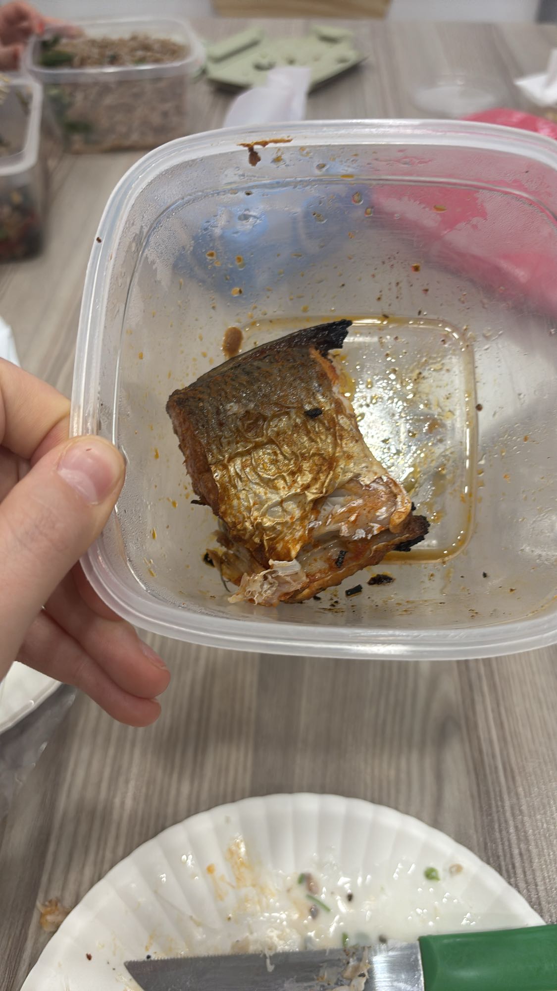 Grilled Salmon Piece