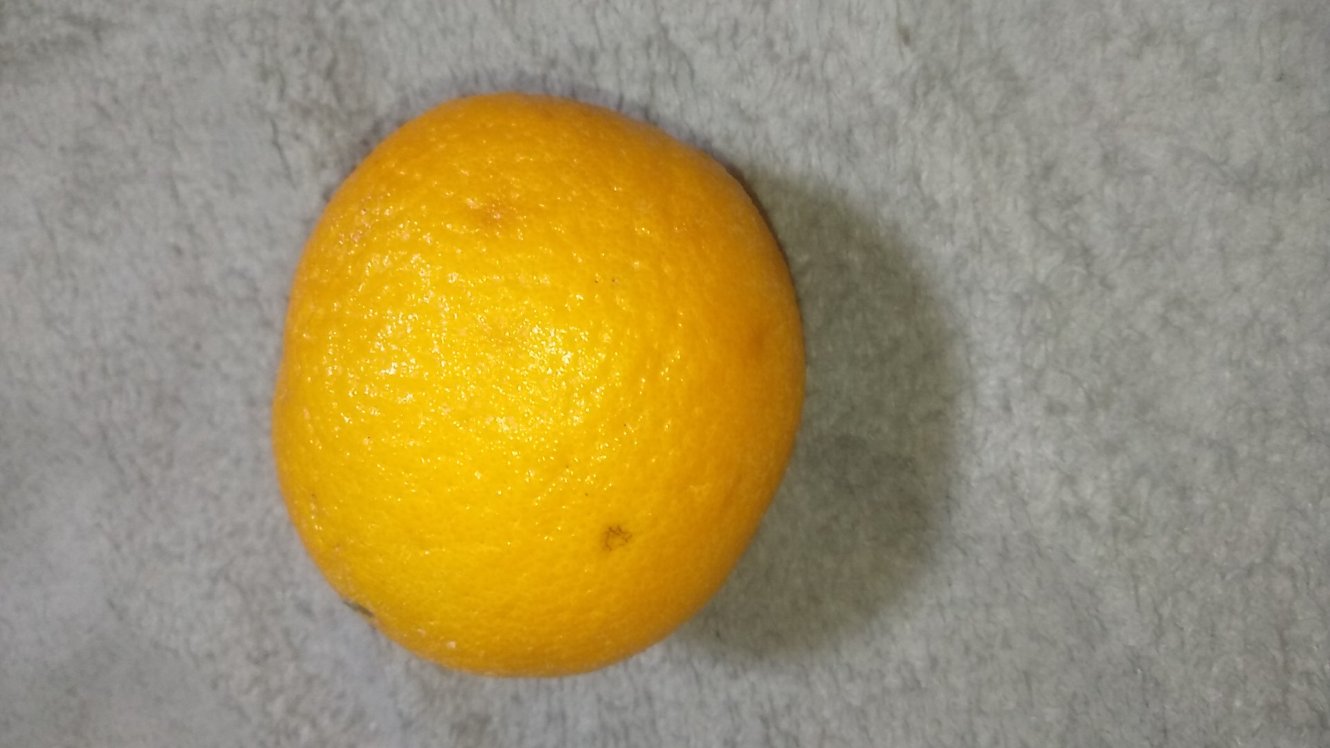 Whole Orange