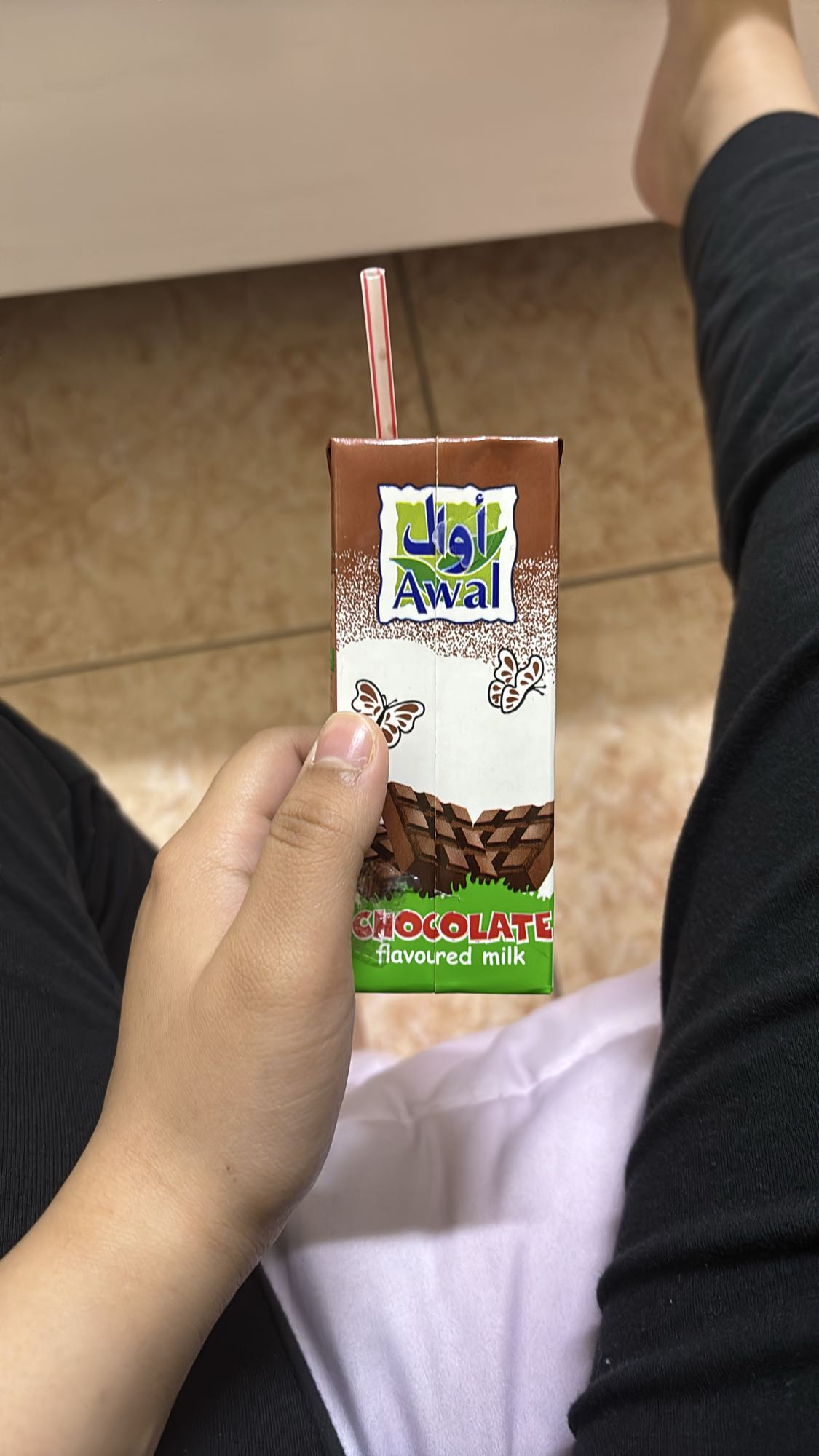 Chocolate Milk Drink