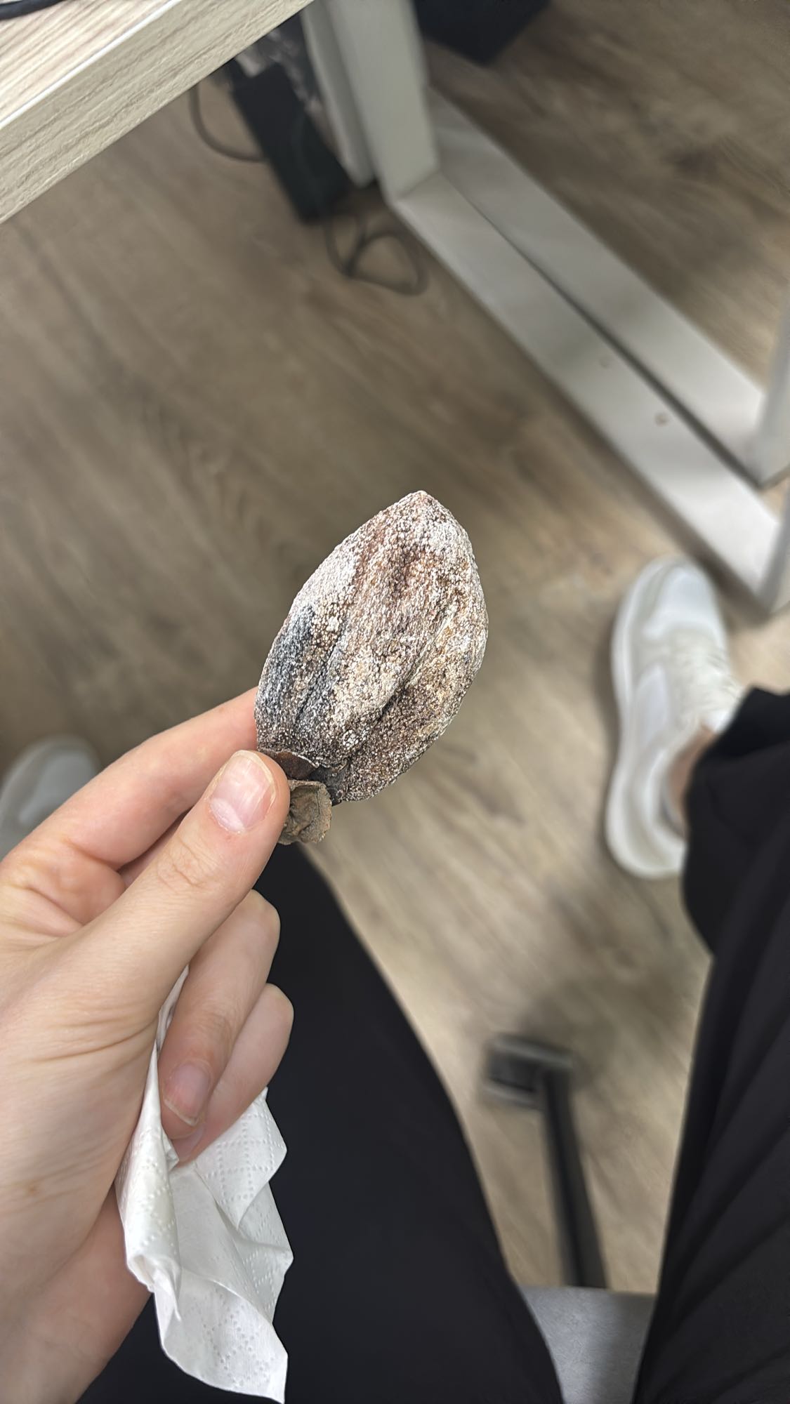 Dried persimmon snack