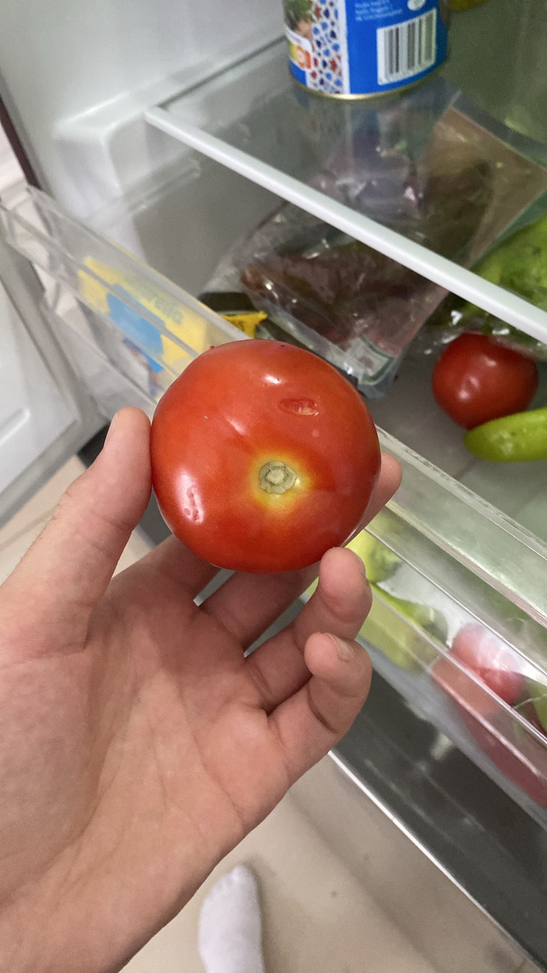 Fresh Tomato
