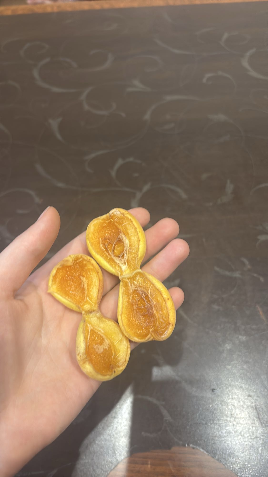 dried persimmon slices