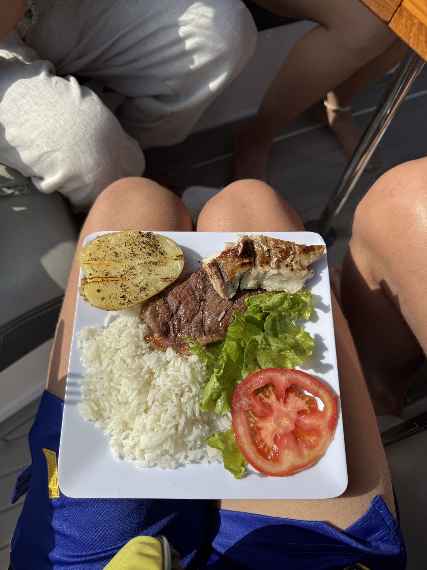 Plato de carne y arroz
