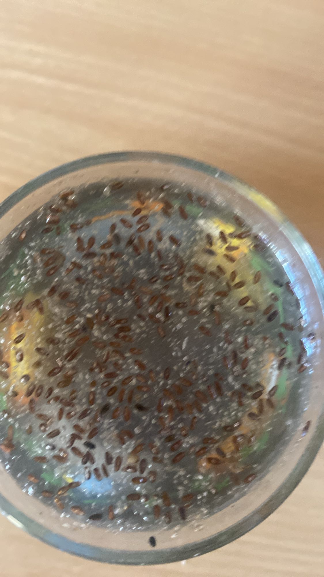 napój z siemieniem lnianym