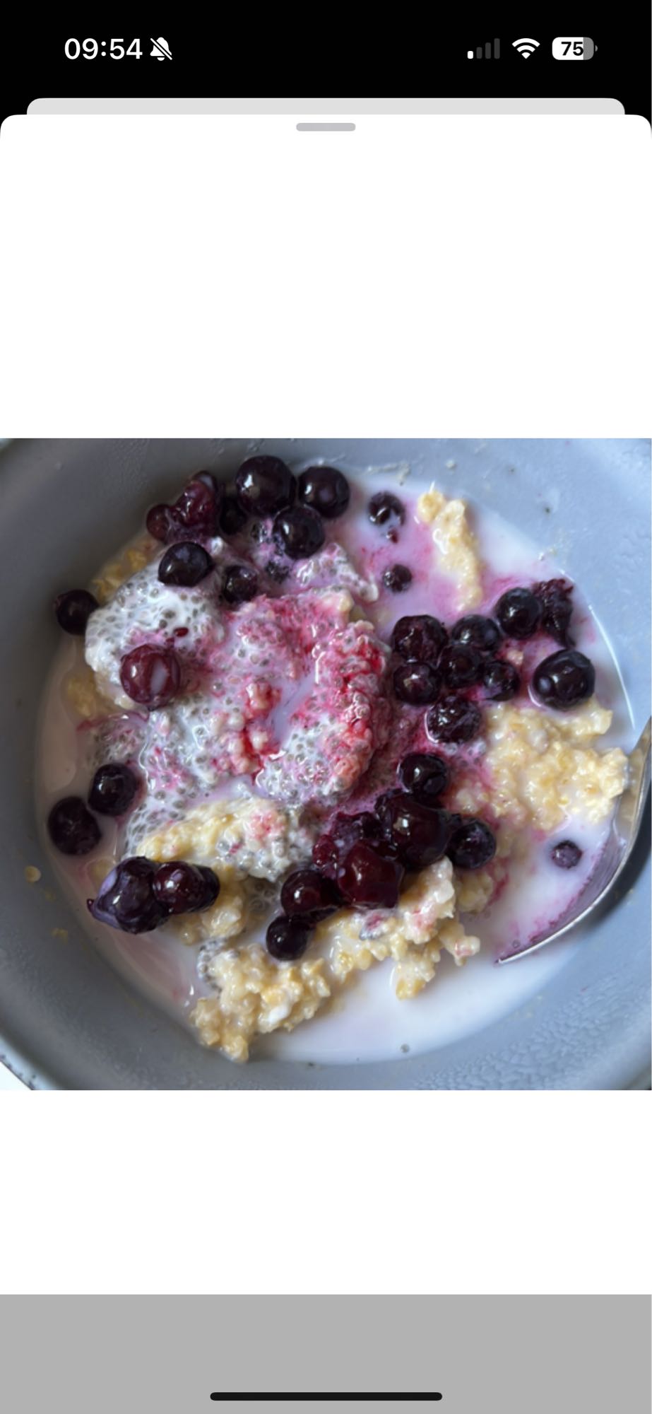 Berry chia oatmeal