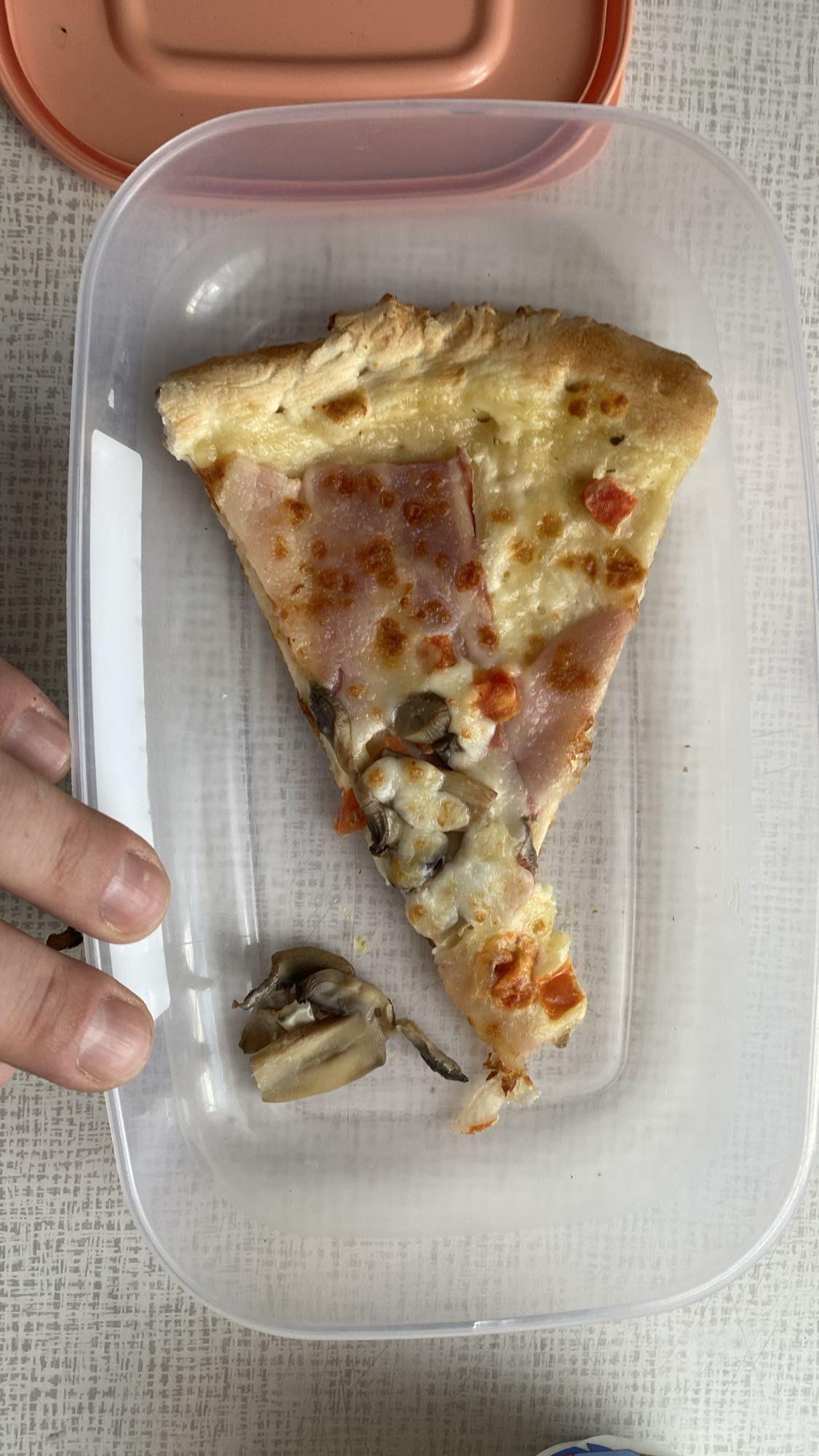 Кусок пиццы с ветчиной