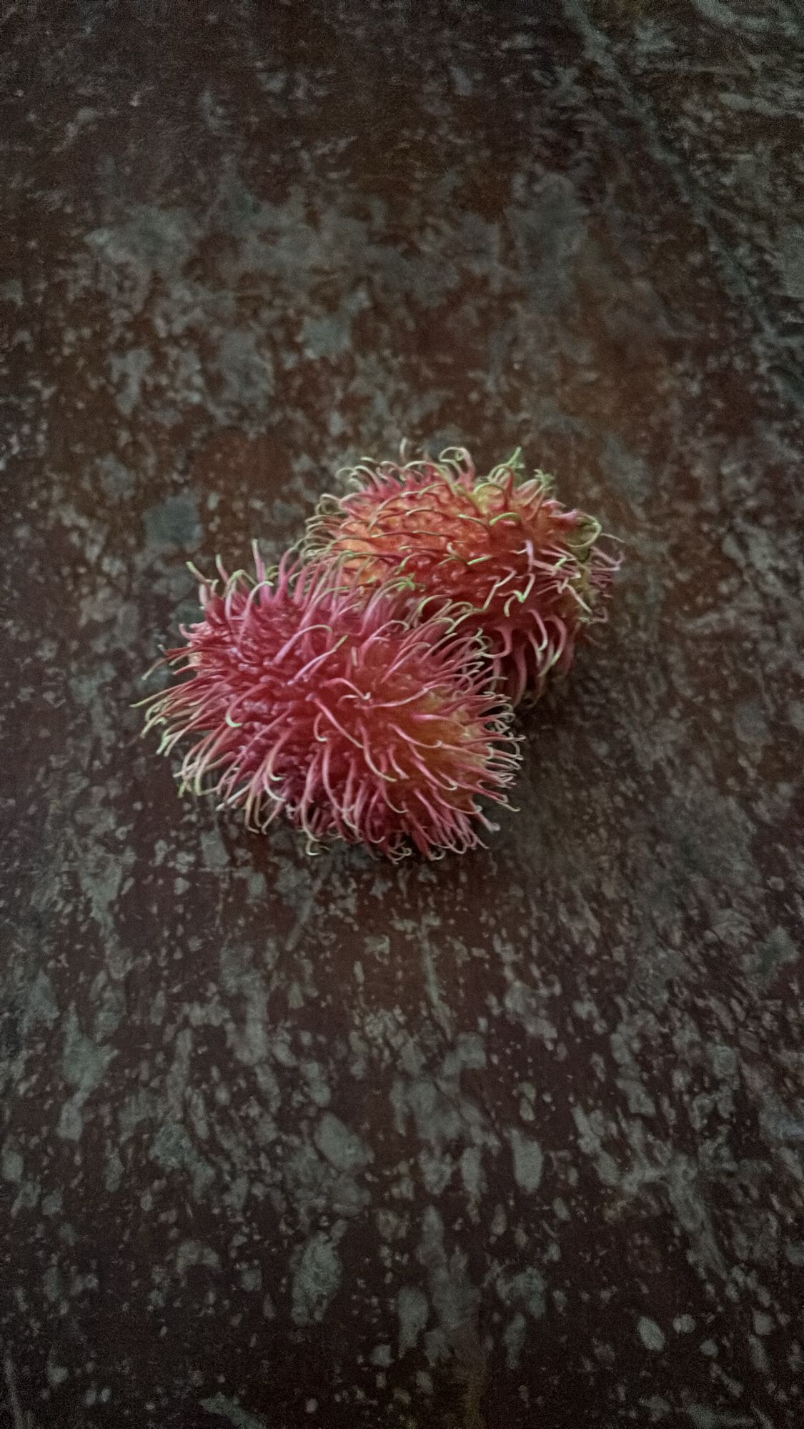 Fresh Rambutan