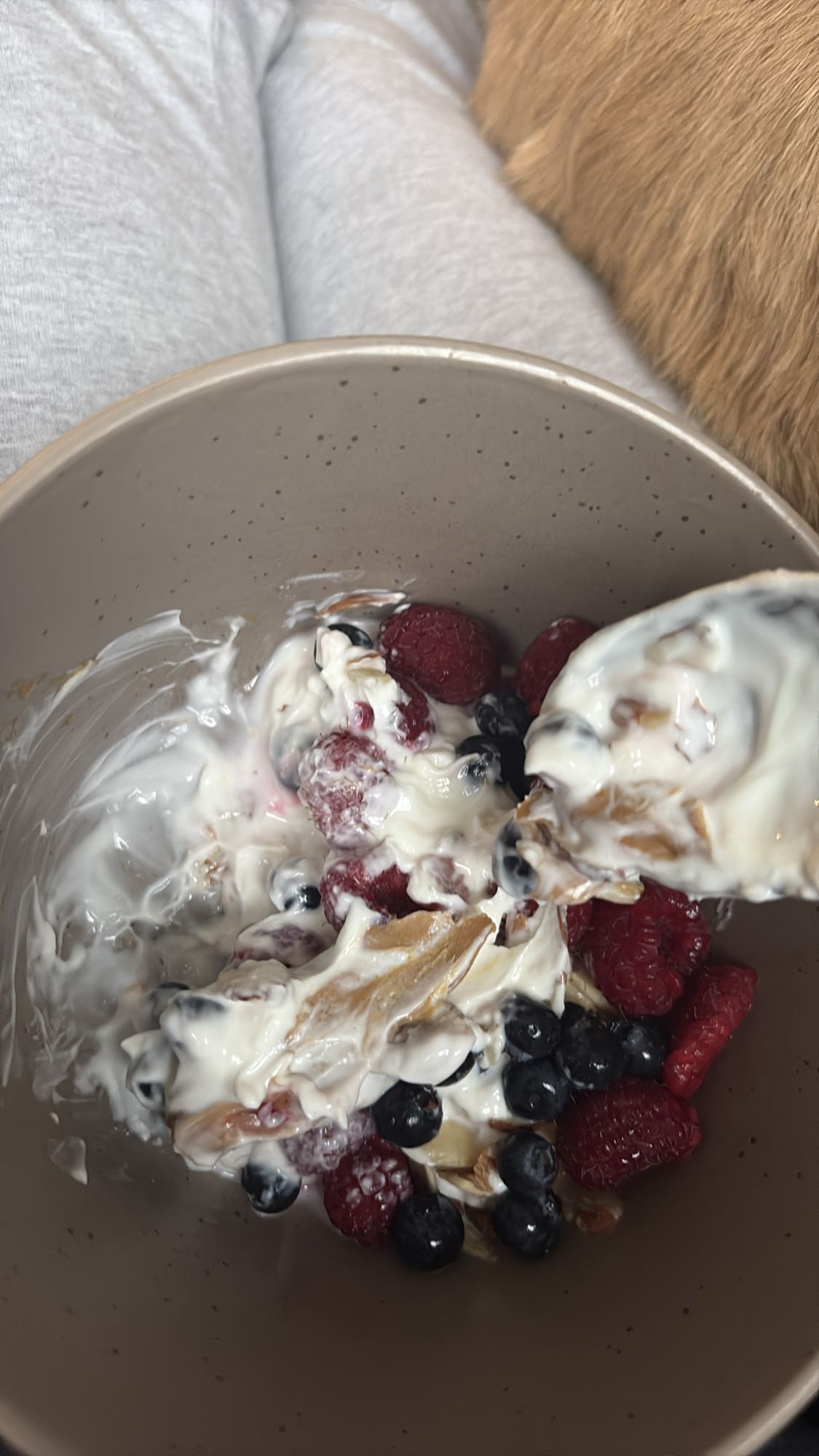 Greek yogurt berry bowl